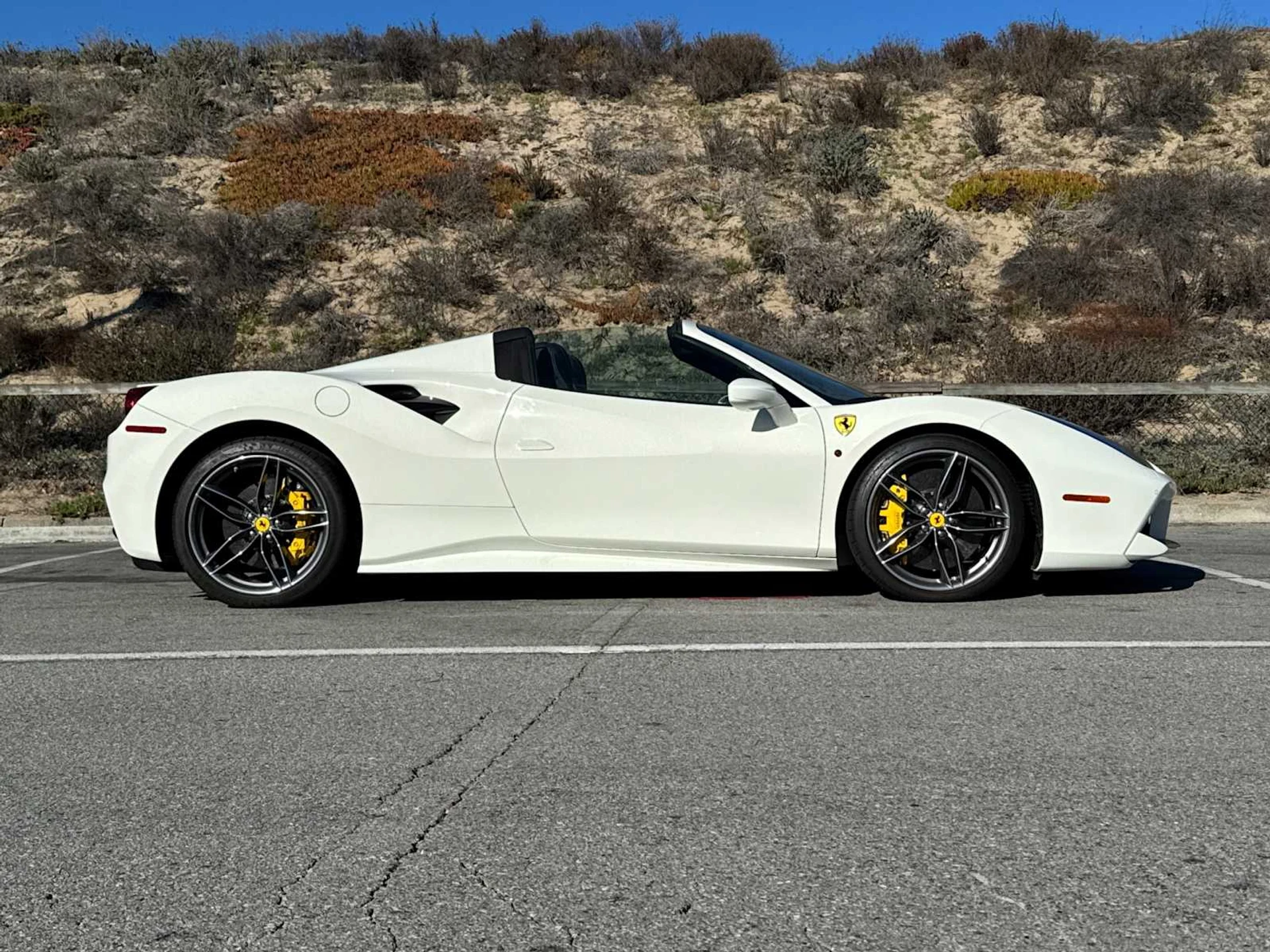 mph008_554613531_1e4e7e93b488d947fc9174cce77c1b26x_4d796a55be