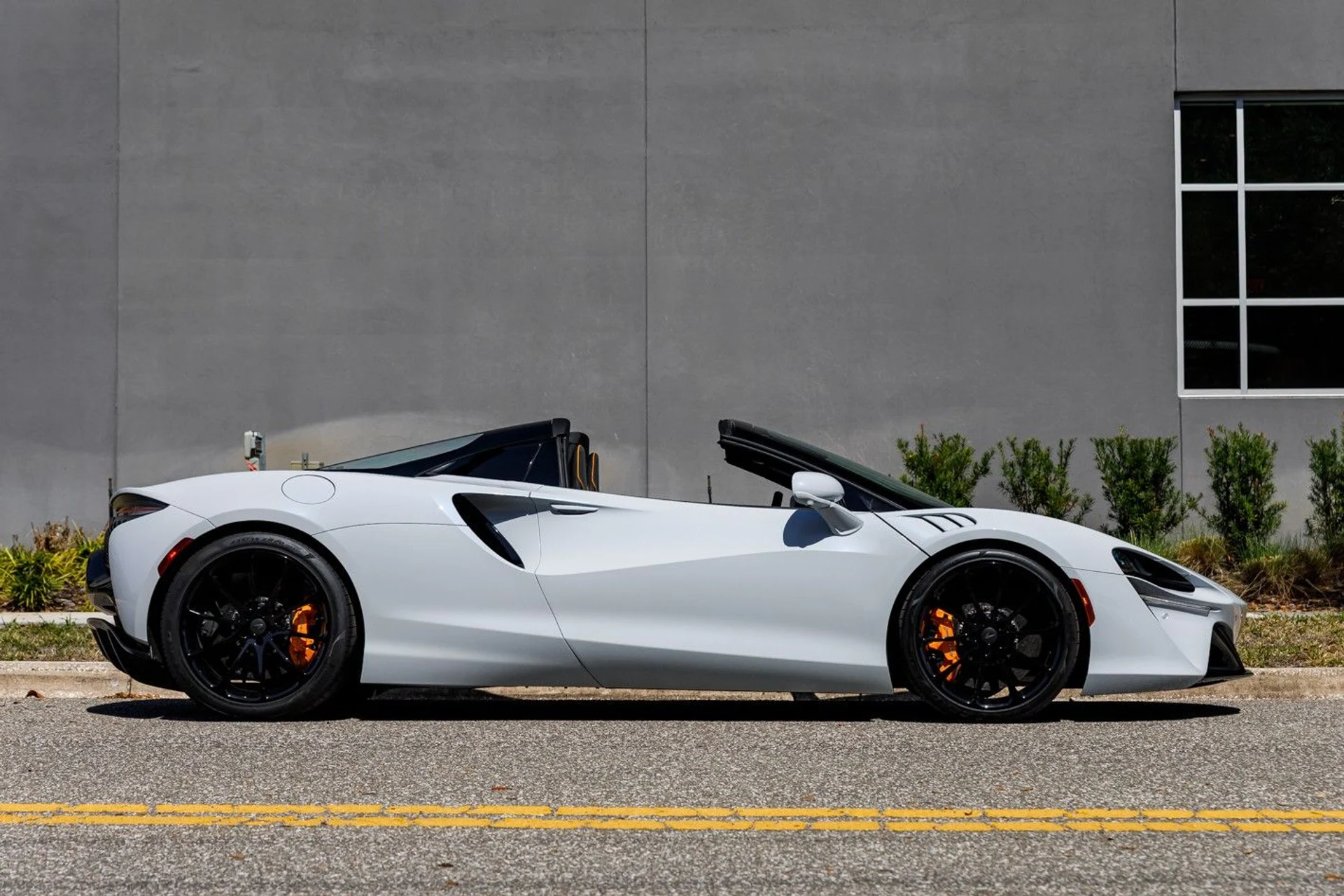 mph008_557110794_473_p9_l_e2c237850c