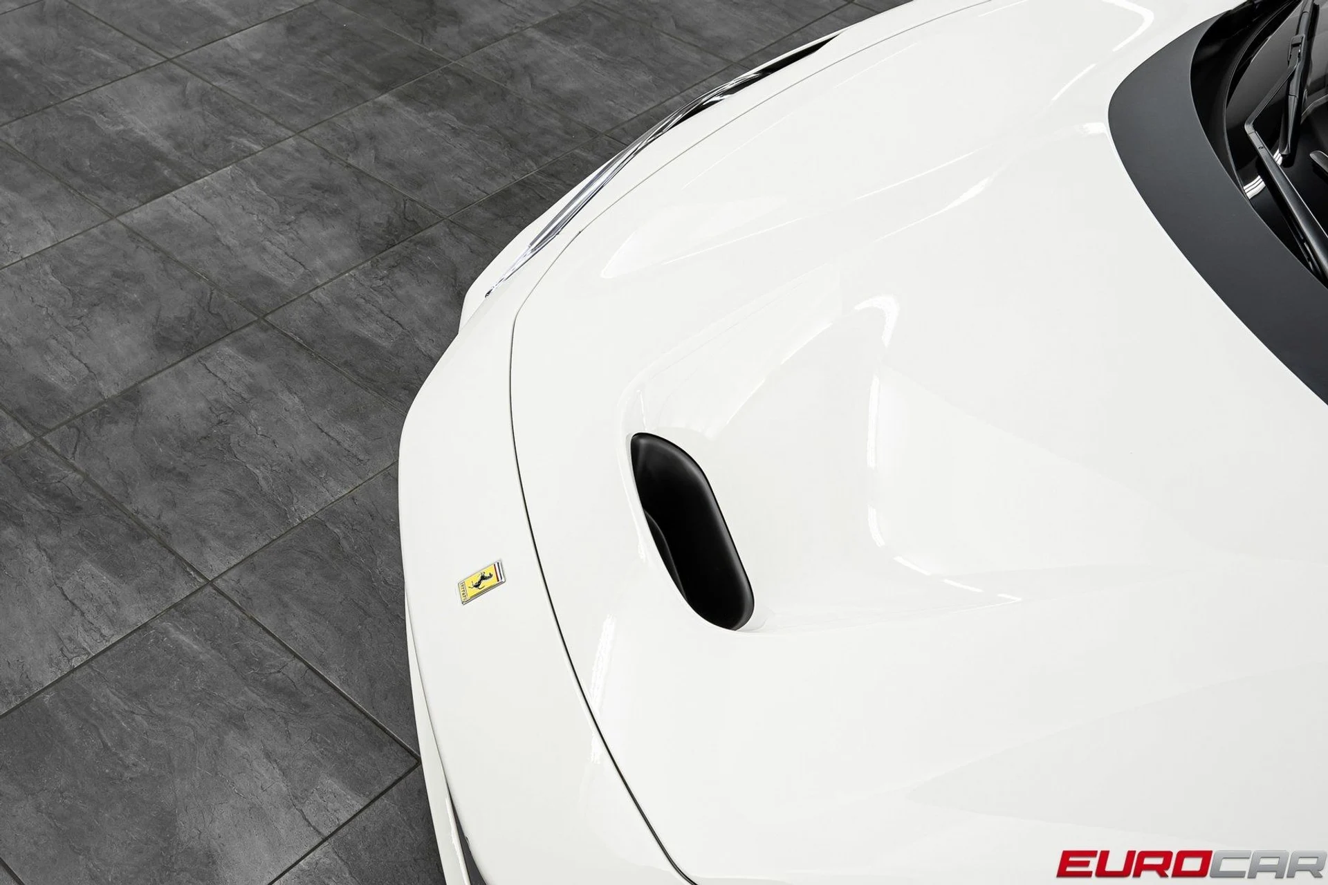 mph008_5860710_image_9_ddd69e0a60