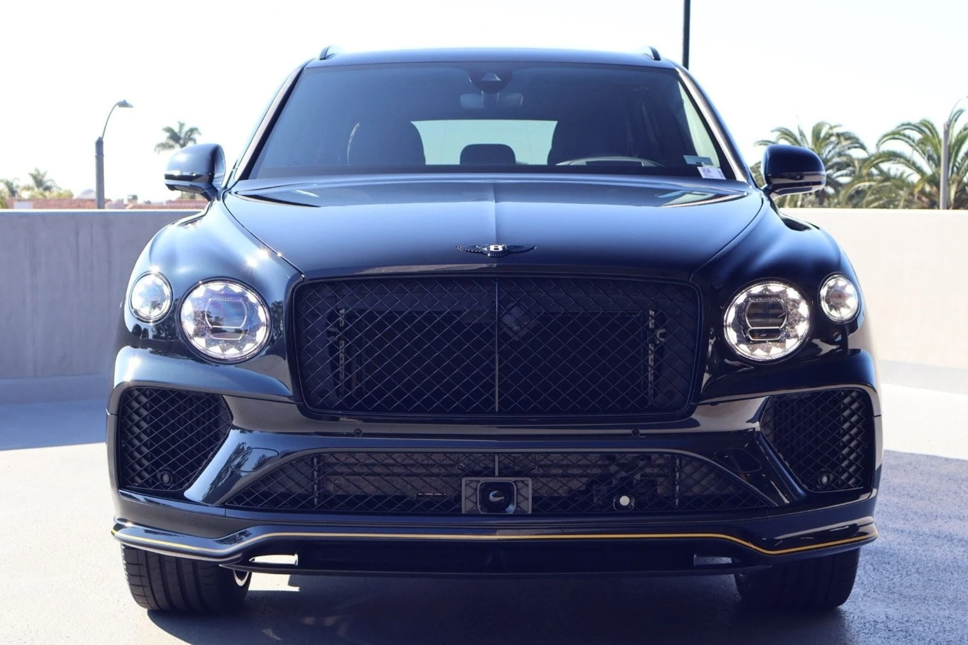 mph008_611367816_cf18fdc926eb30f28eb66ef2e544e9ebx_42f1ce171b