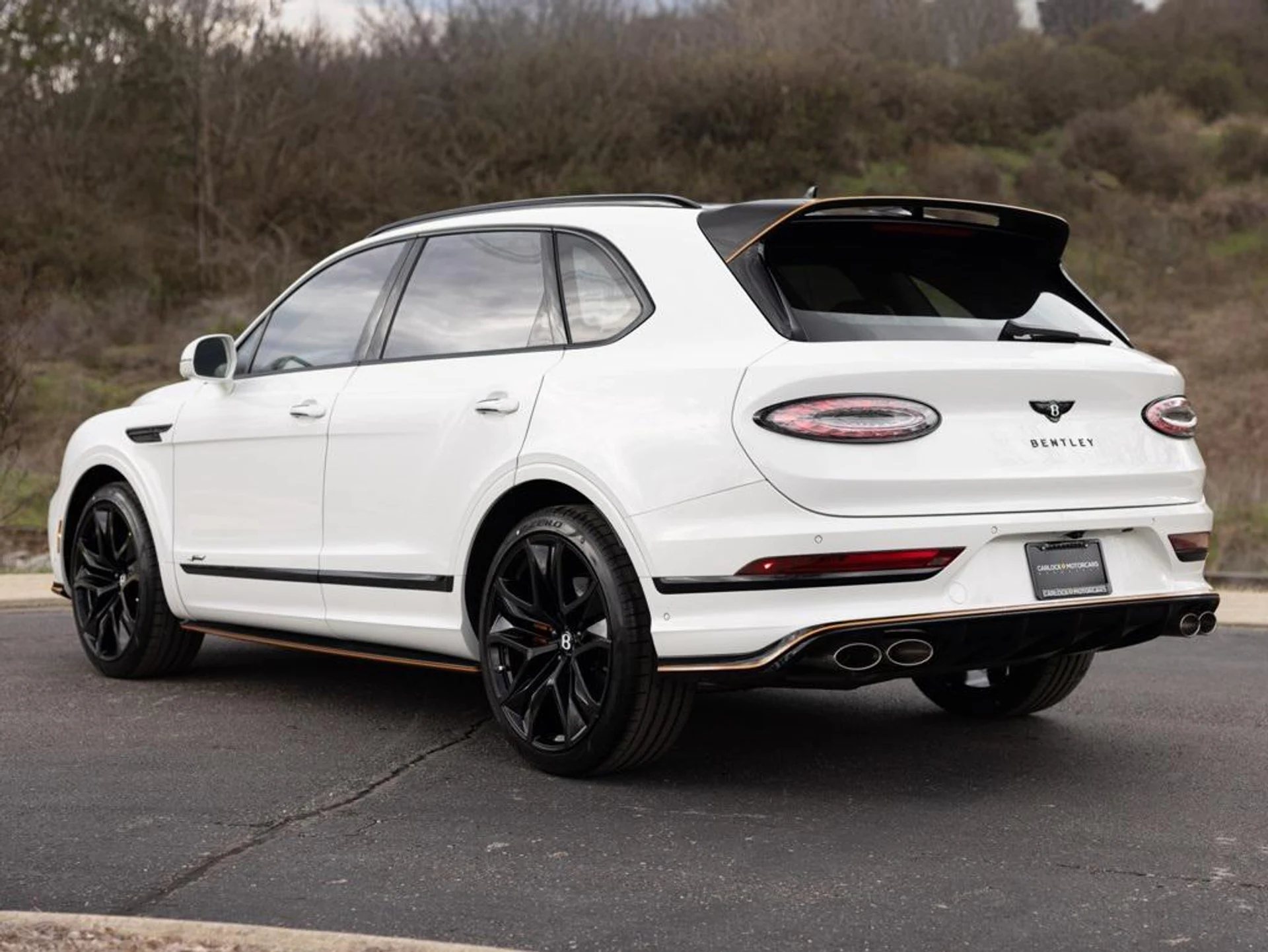 mph008_658076971_480417655_69442331815a036f0aabfc0b_86830dbfaa