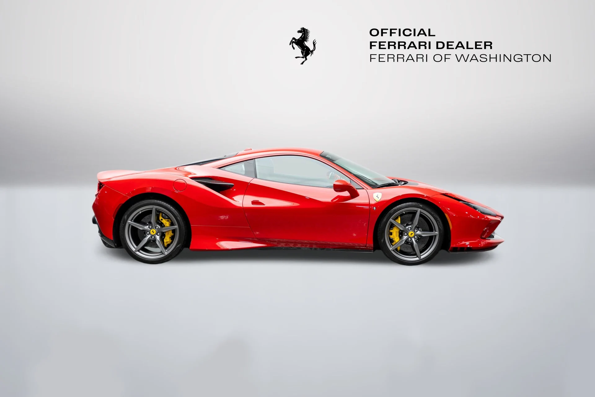 mph008_658774425_878bd06e23b44d5e83bd6f725377dbff_1230262008