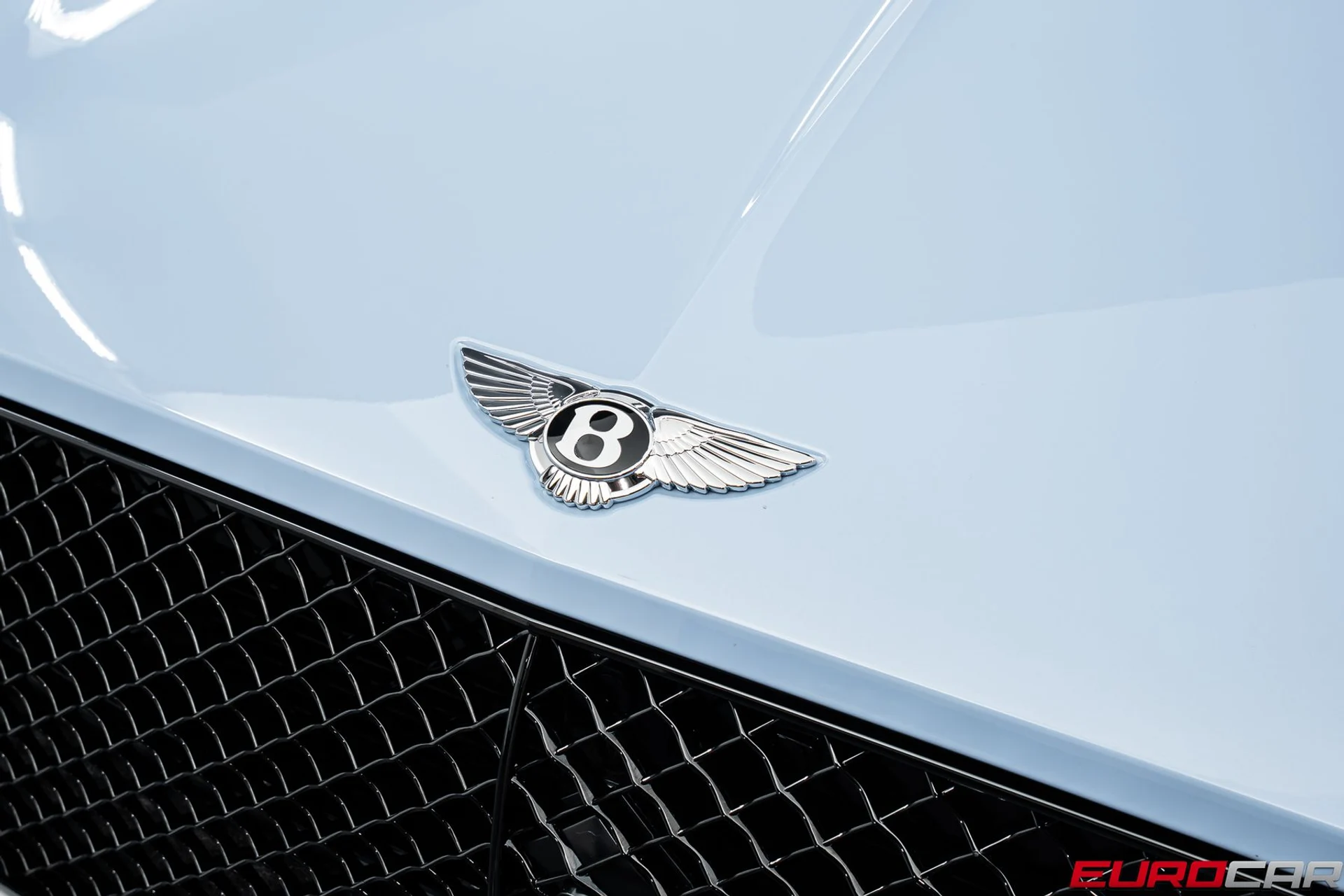 mph008_701381975_0d590ef3_436a_43ff_97cc_bb564e8d68b5_3cf5b46a5c