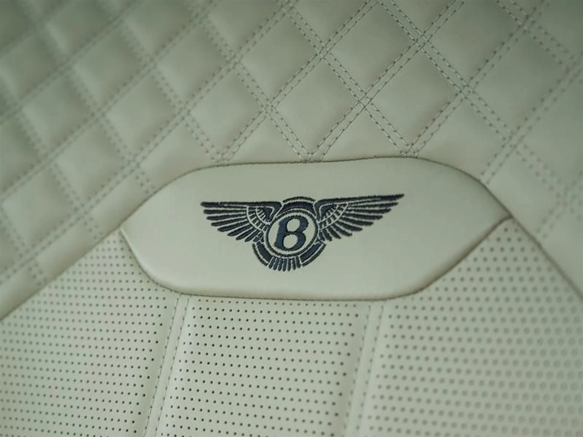 mph008_706313383_erecfpq1_b545a0d7e1