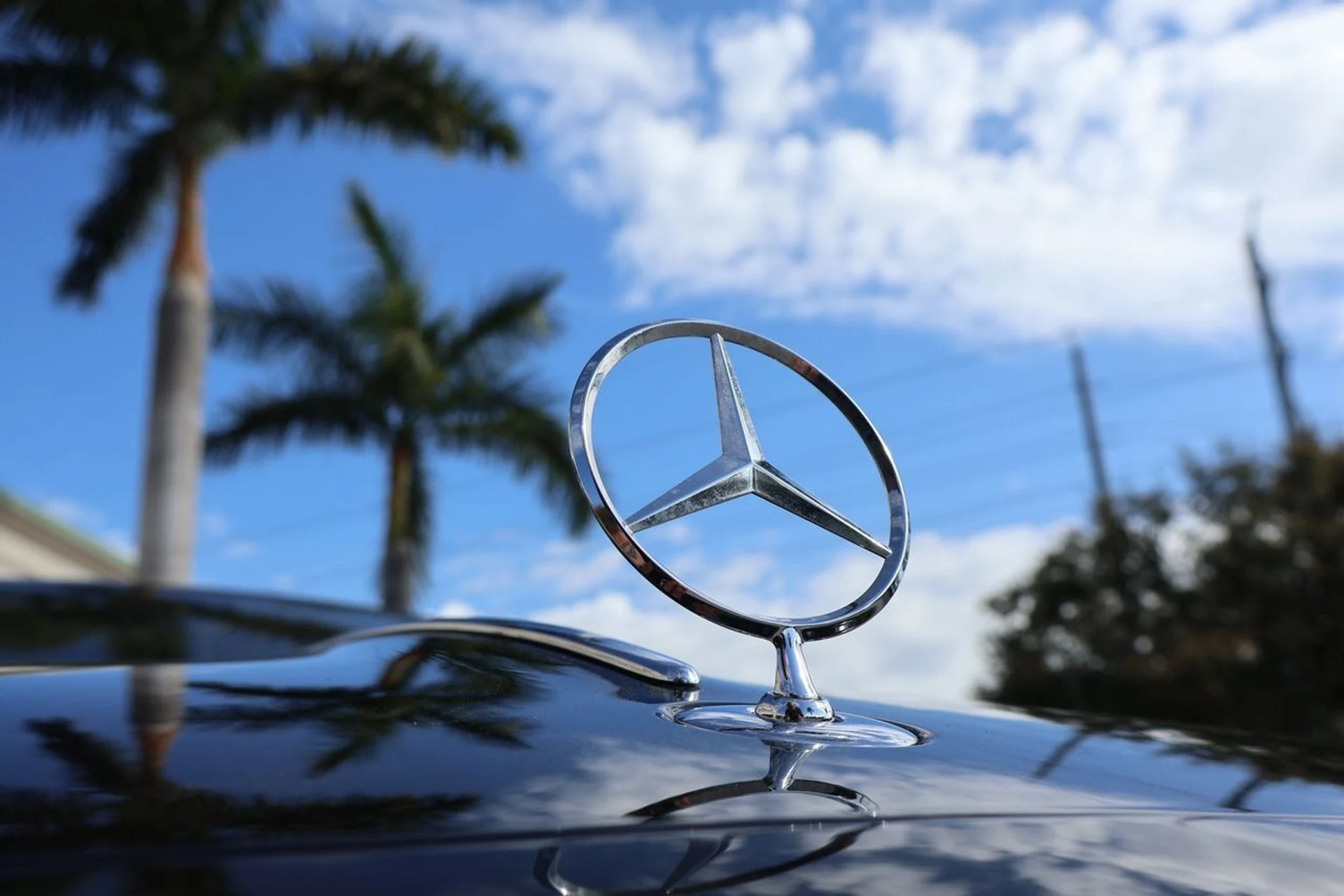 mph008_73471177_9_9511a590c7