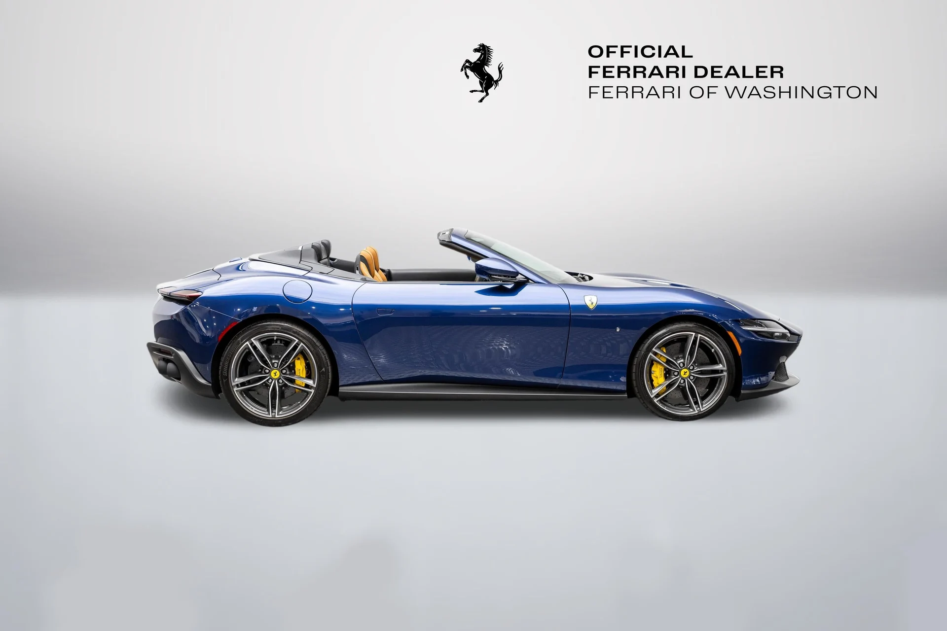 mph008_837935036_dc6fc58b43d04ba2ba1b6329b113df79_0a7a172b84