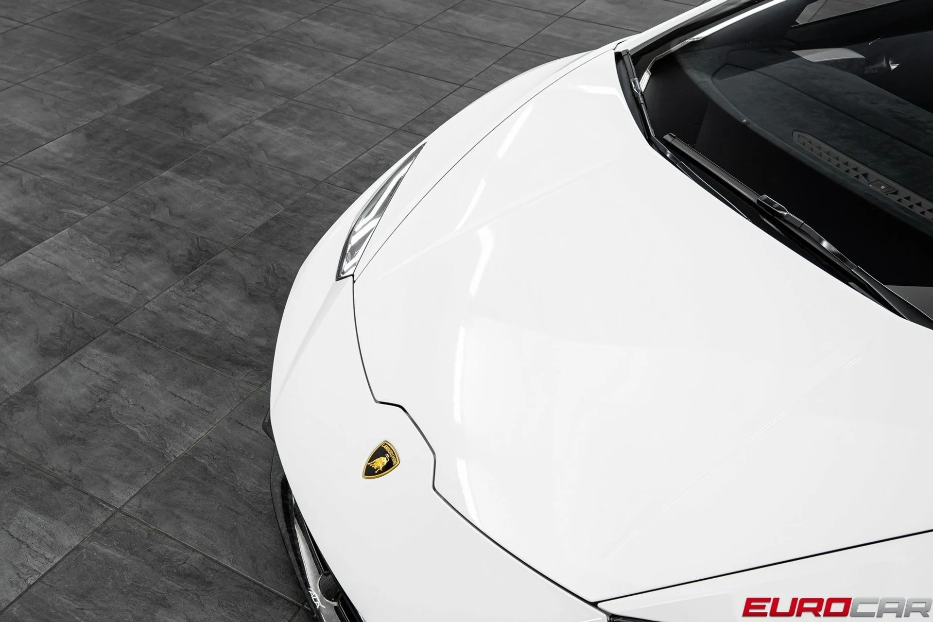 mph008_851335622_image_9_1c0bd074bc