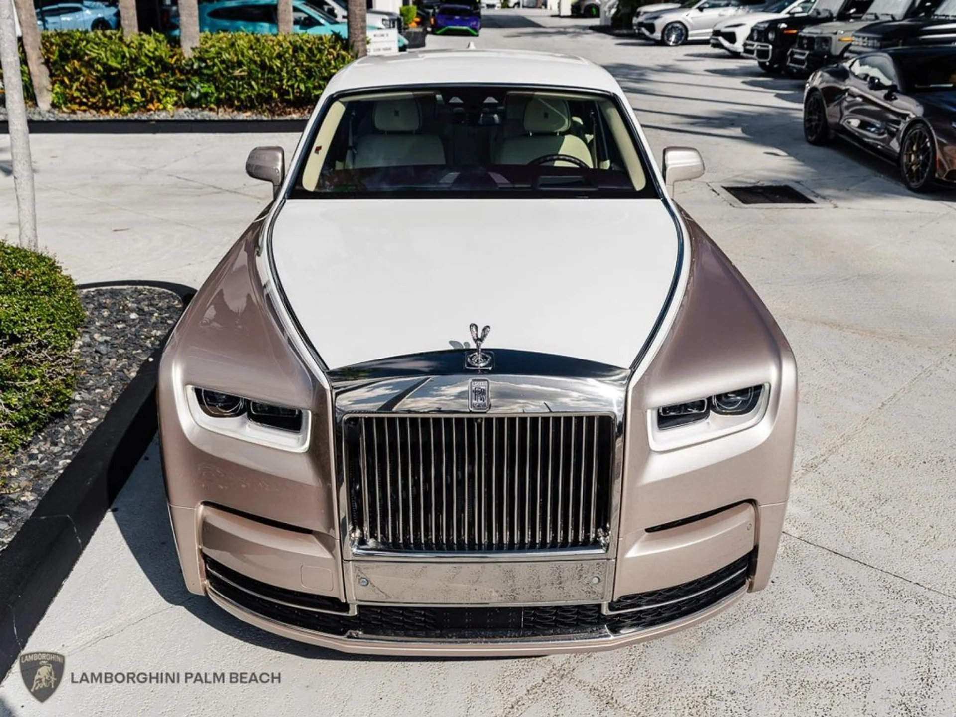 mph008_877870187_8bcbe4be57c1d0ec15372bc50c9a25dd_6d883beec8