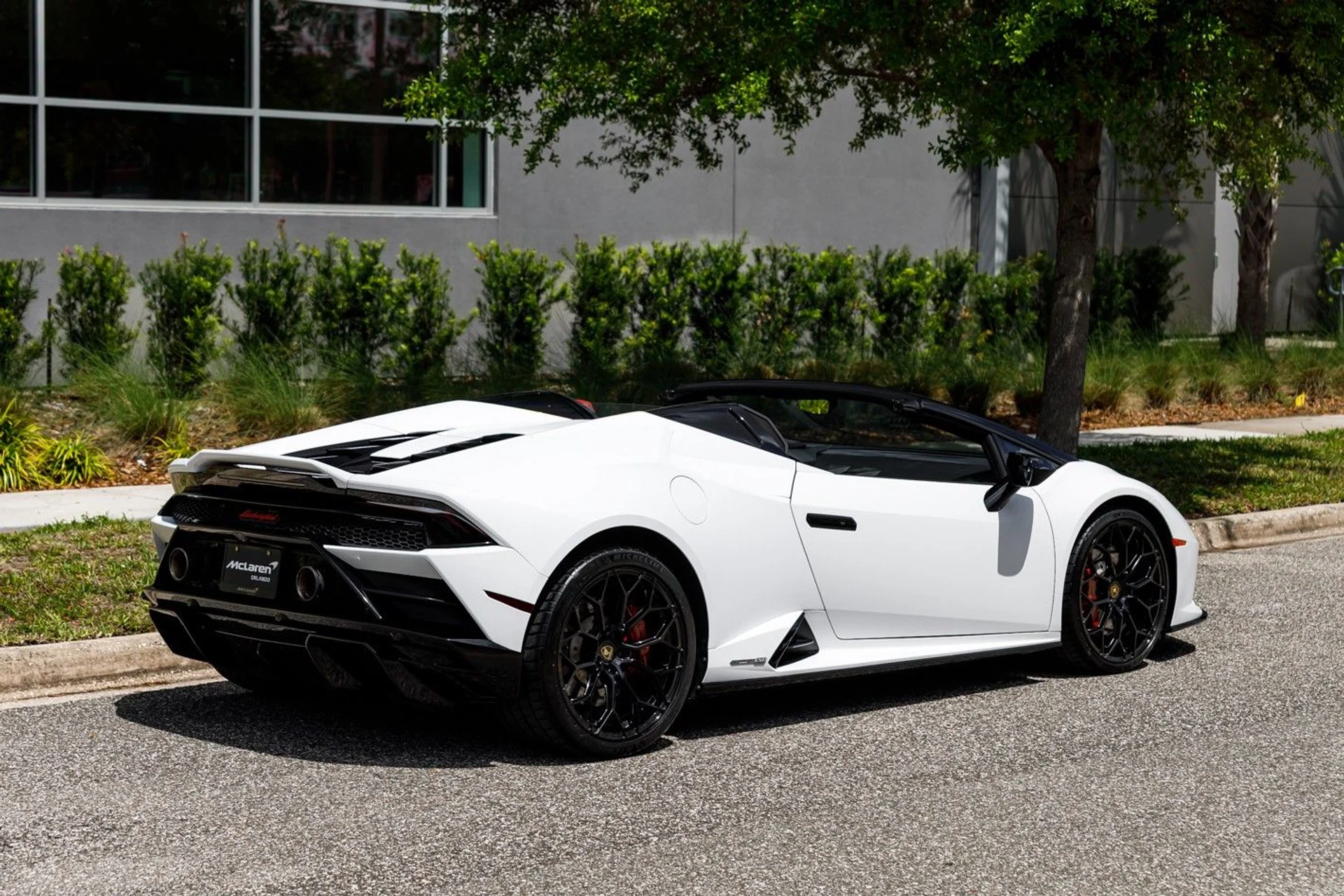 mph008_877889539_665_p9_l_f15ae84f47