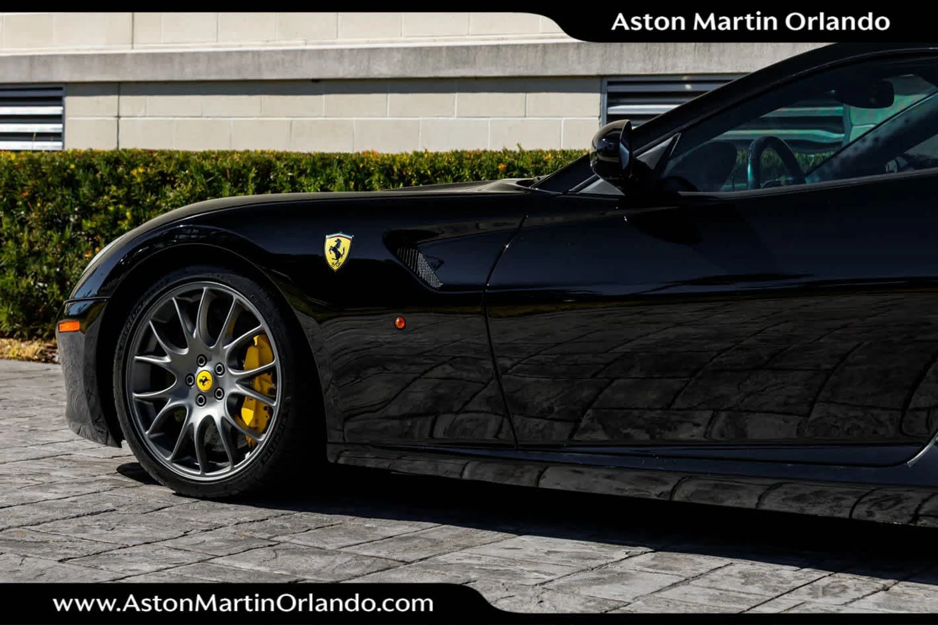 mph008_881859159_9_619aca7ddc