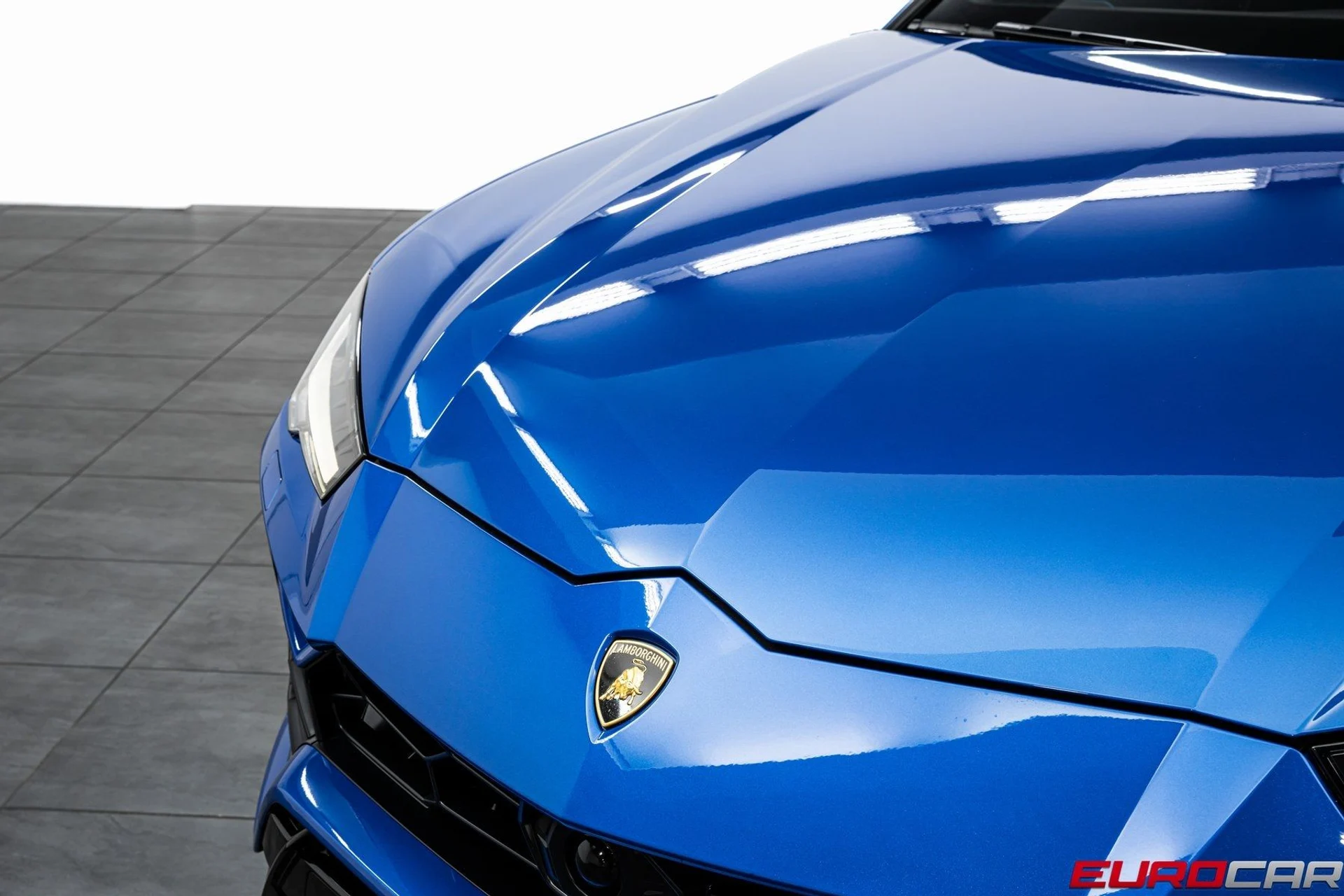 mph008_906338049_image_9_cd0914876b