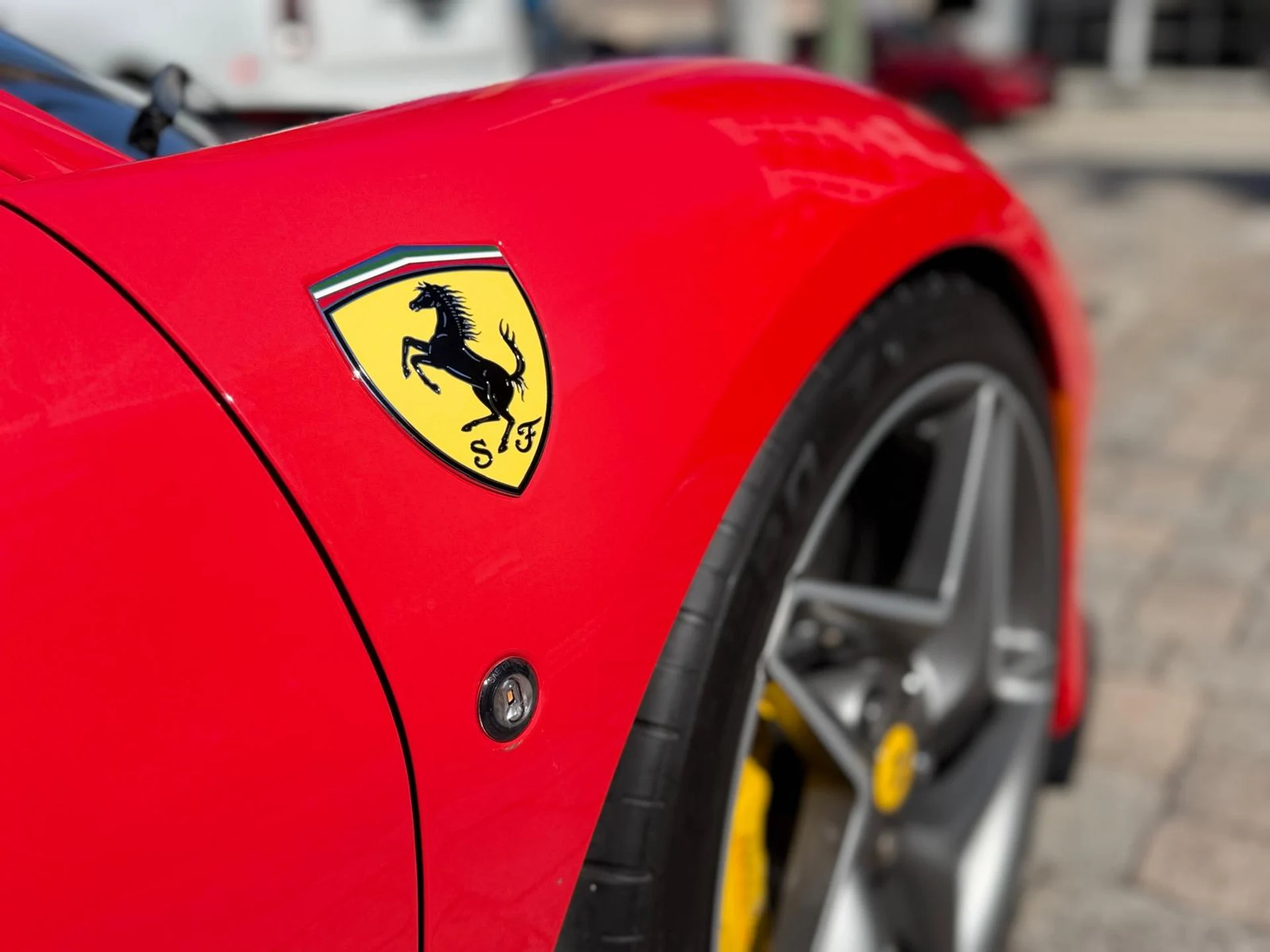 mph008_948398891_Whats_App_Image_2026_02_09_at_11_14_57_AM_6_20bf15e925