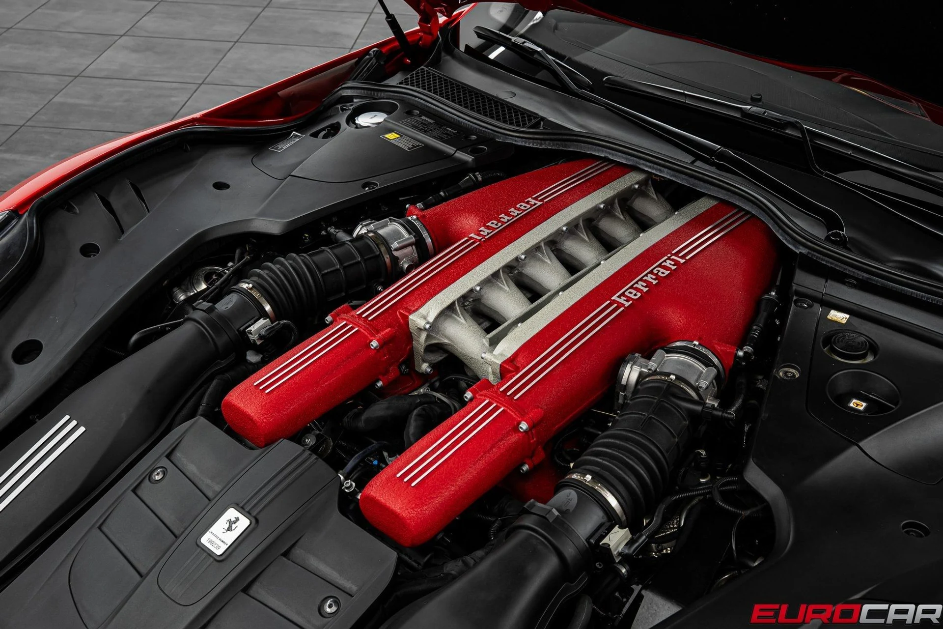 mph009_1065878160_image_10_304a0259ae