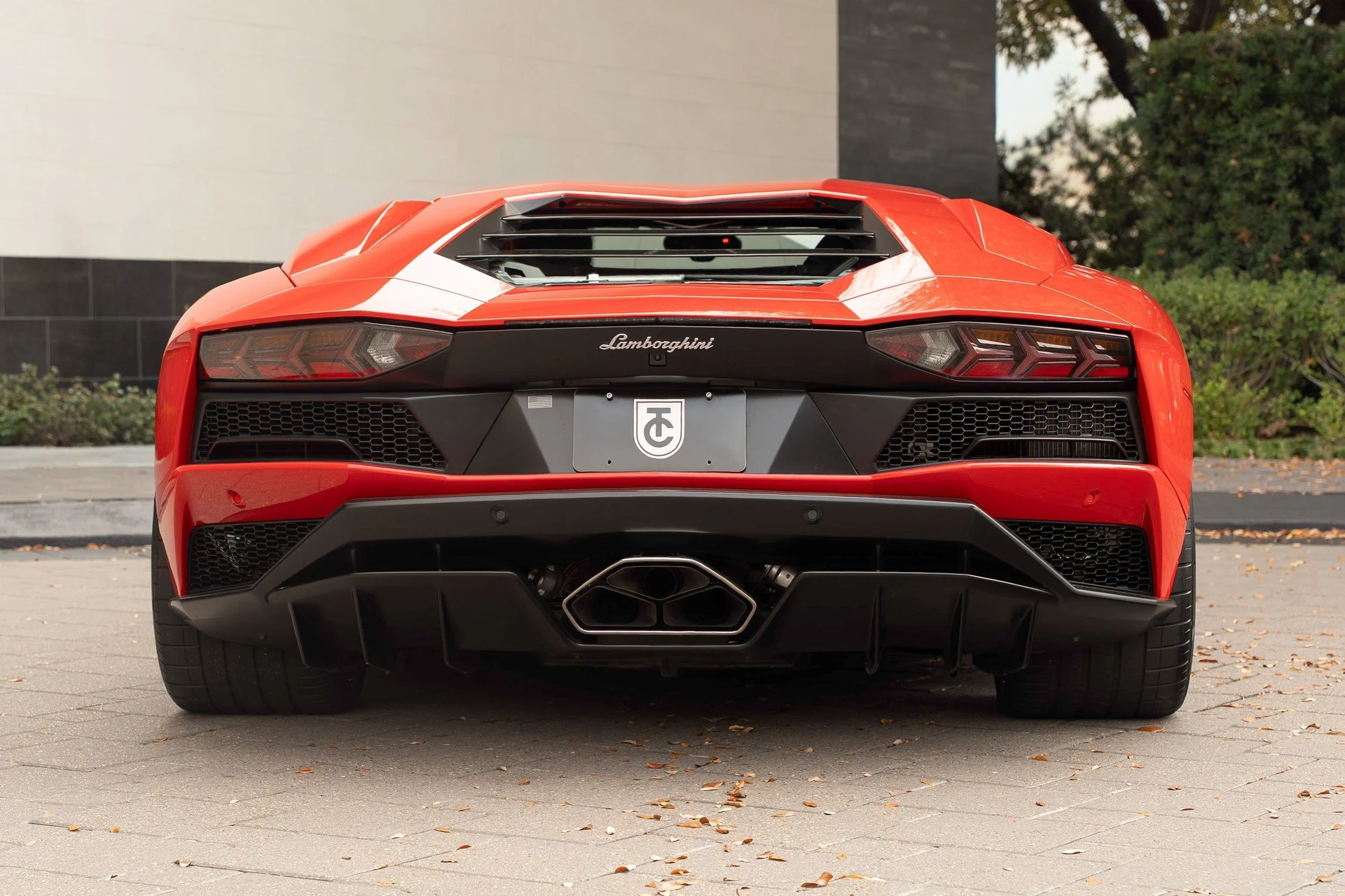 mph009_1082729369_image_10_8144545a06