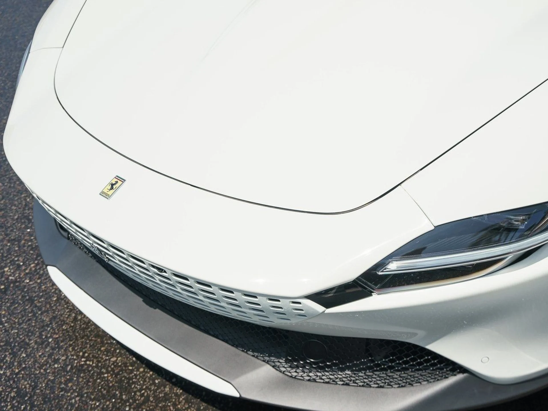 mph009_1170209018_d0c85a7b0925e9a900d812b9f9c66390x_412d080256