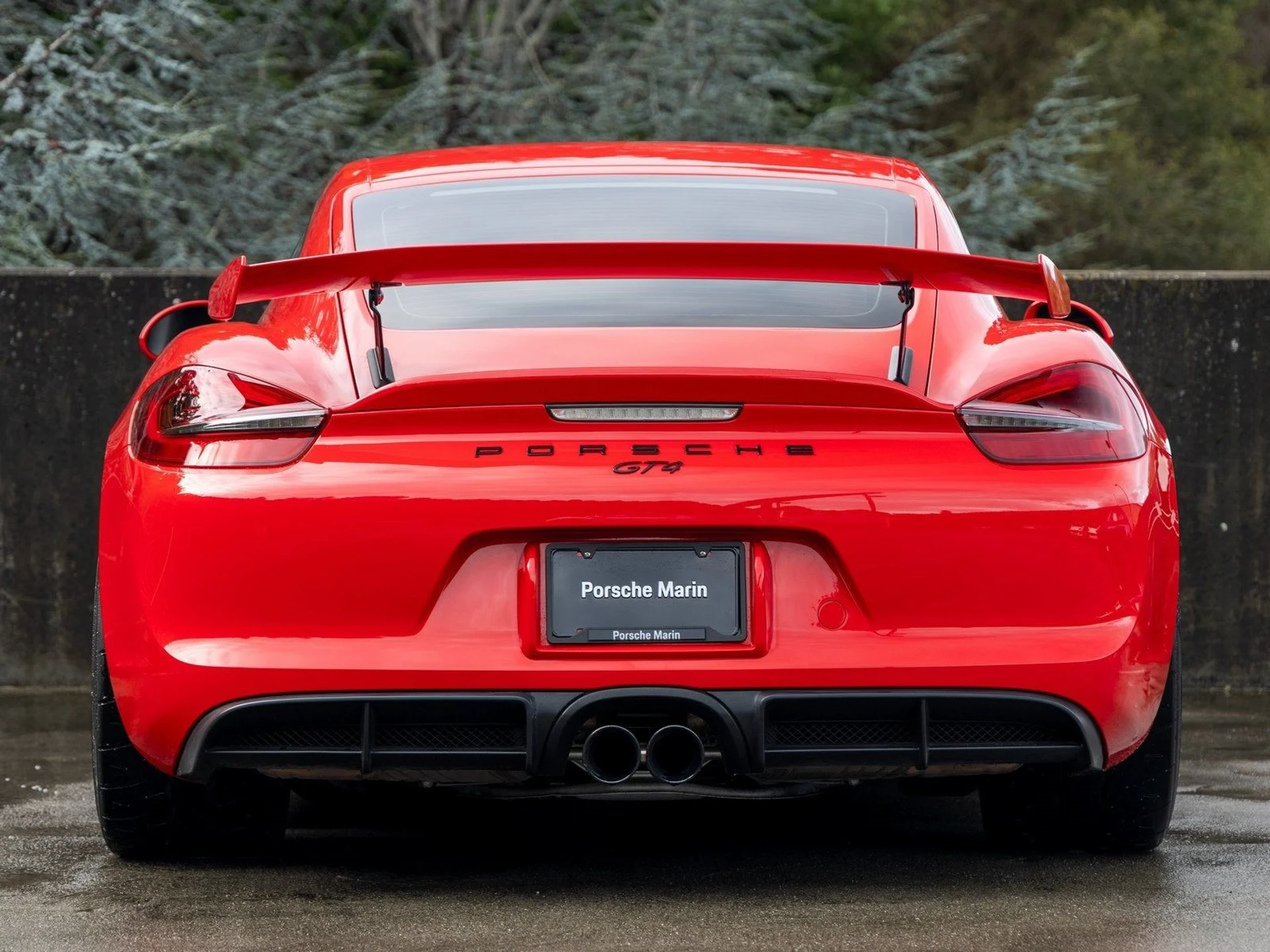 mph009_1187819494_10_c6d459682d