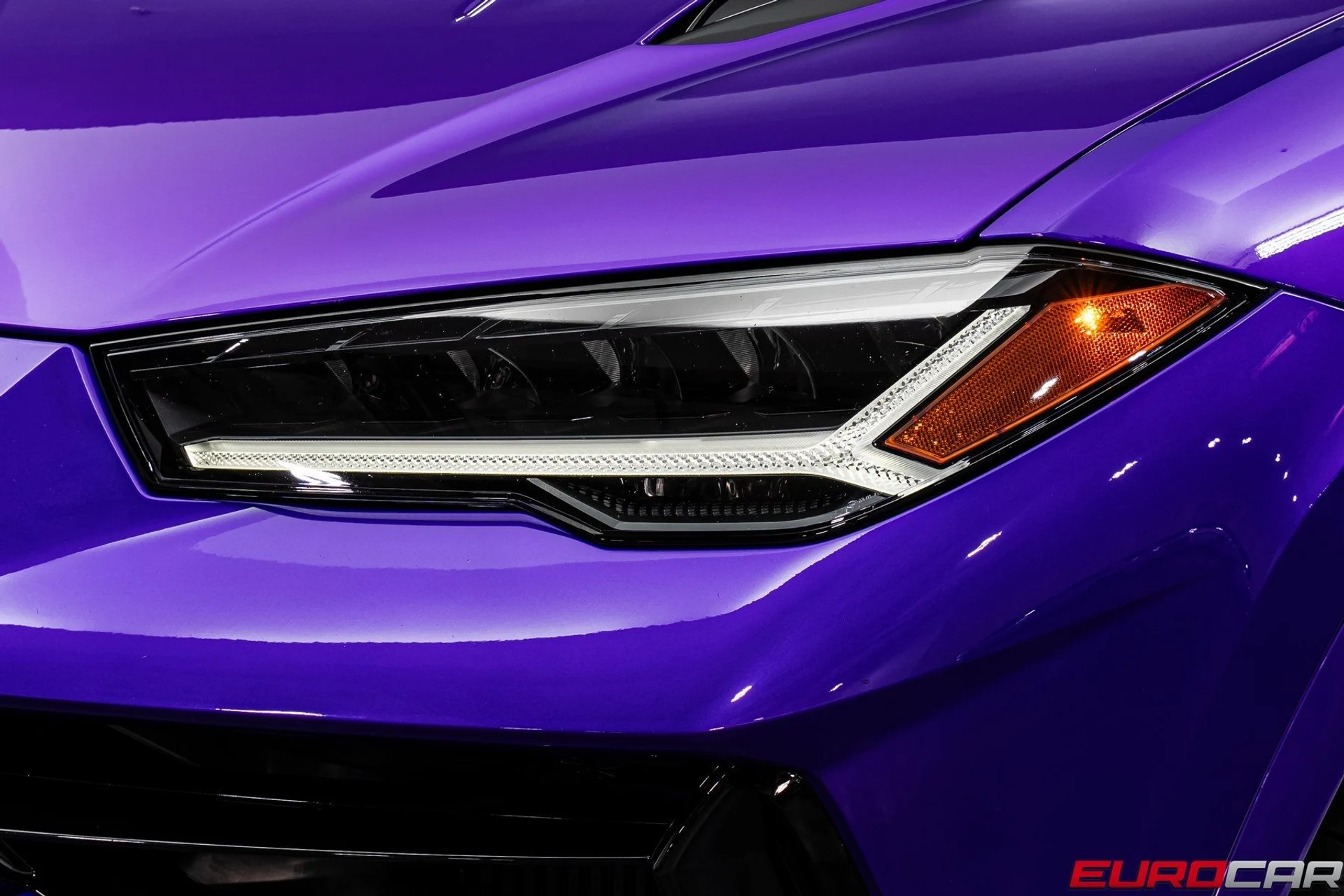 mph009_1238054378_image_10_1c2eb84fc8