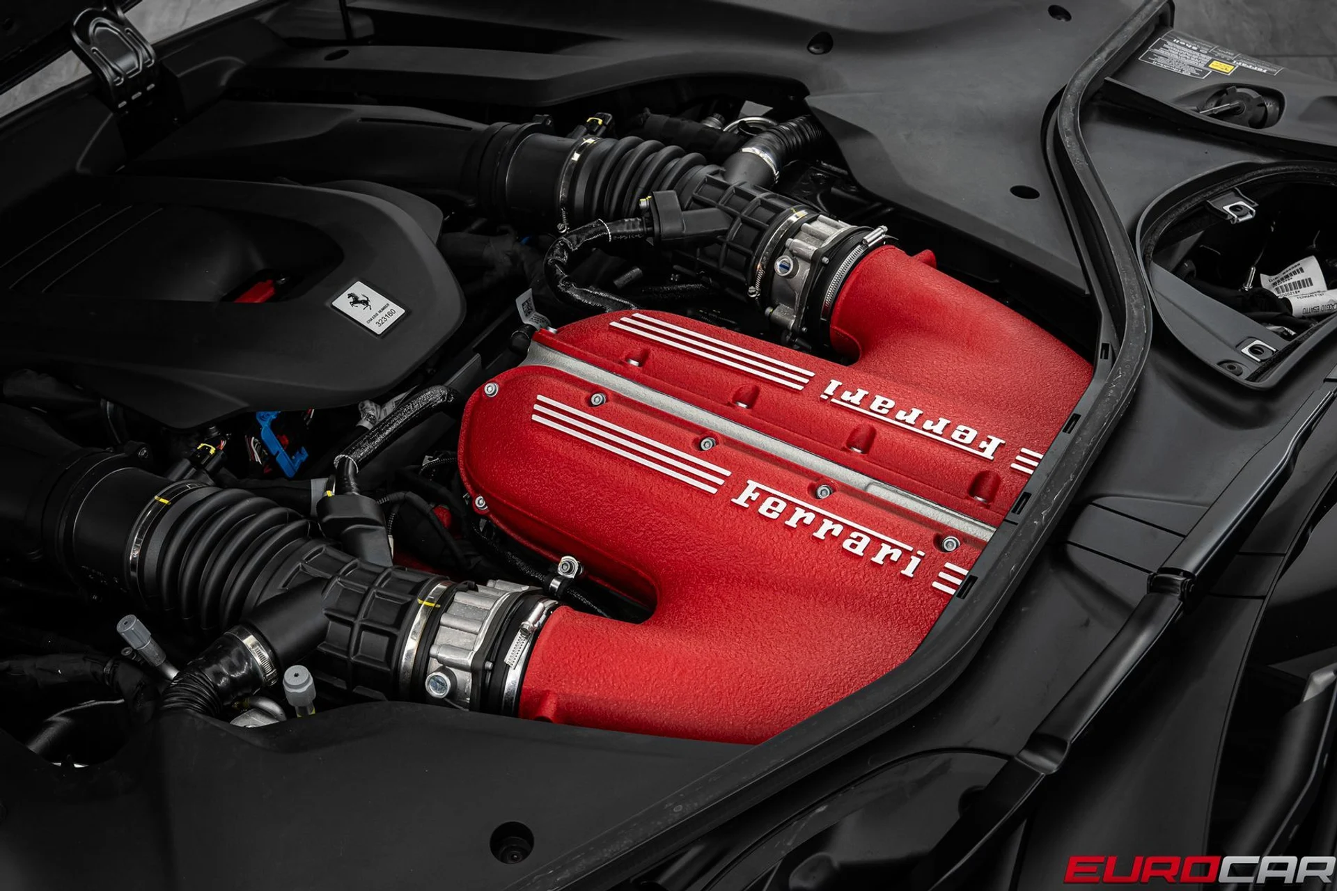 mph009_1244256428_1ccb714f_2511_4841_a154_b998b3f0dab0_e15a5d7ec6