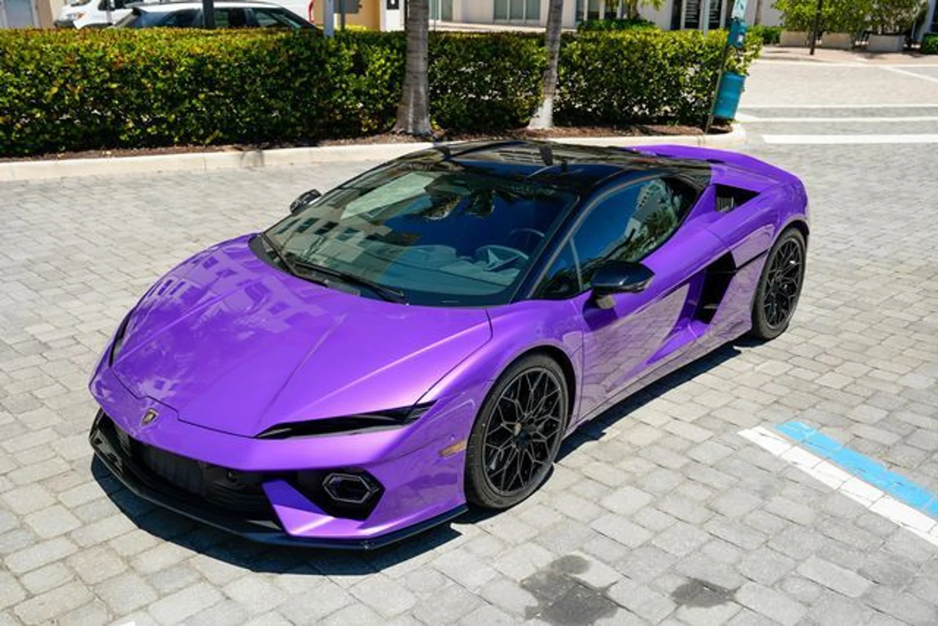 mph009_1382596629_23014494_10_4dfb5e75cf