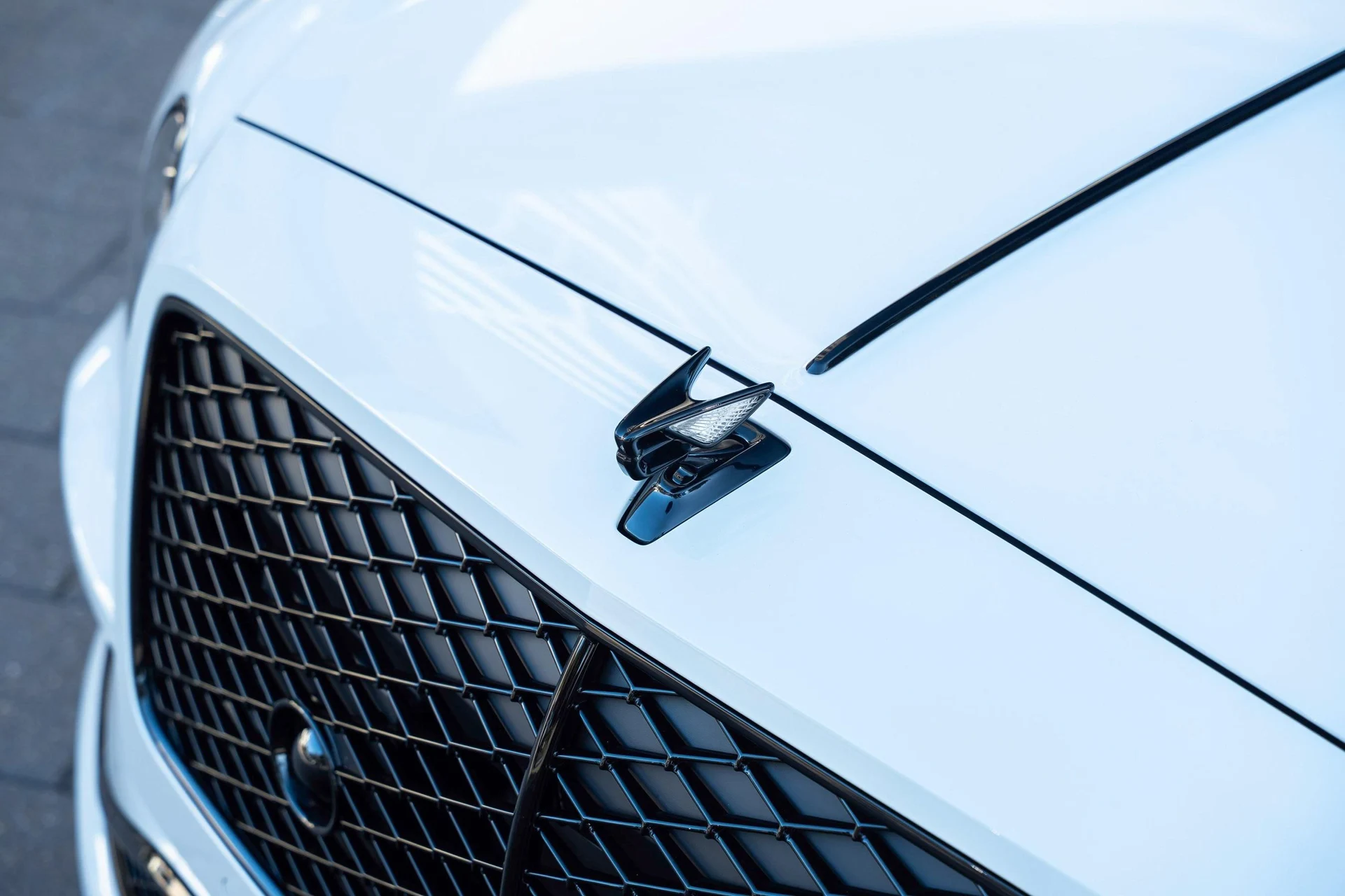 mph009_138332330_462758417_6954bfd24e73cd9f103f4f47_6bd959375a