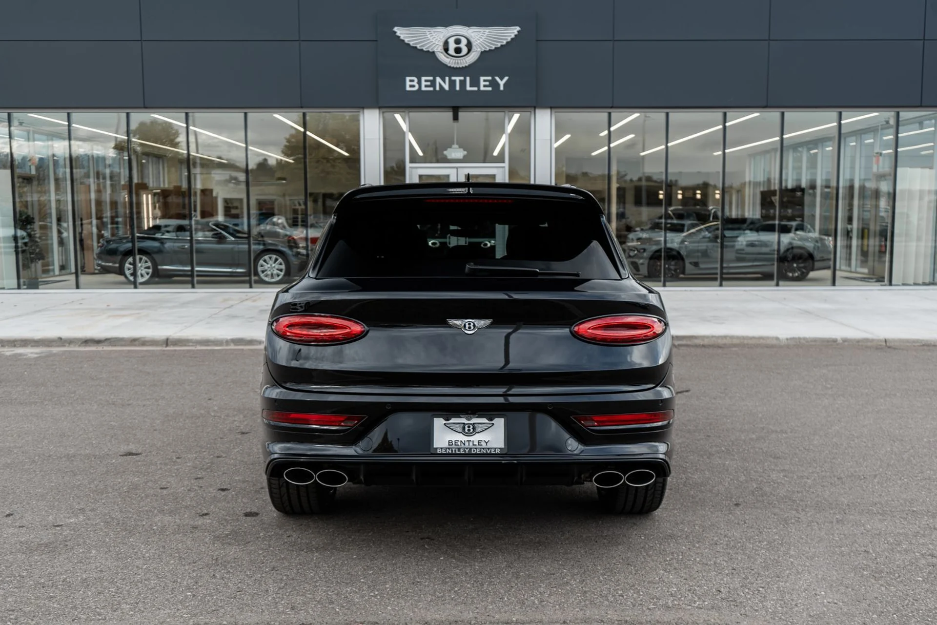 mph009_1419937661_e2ec5887_6610_4730_bb31_c263ad885eb7_d15d9aec0b