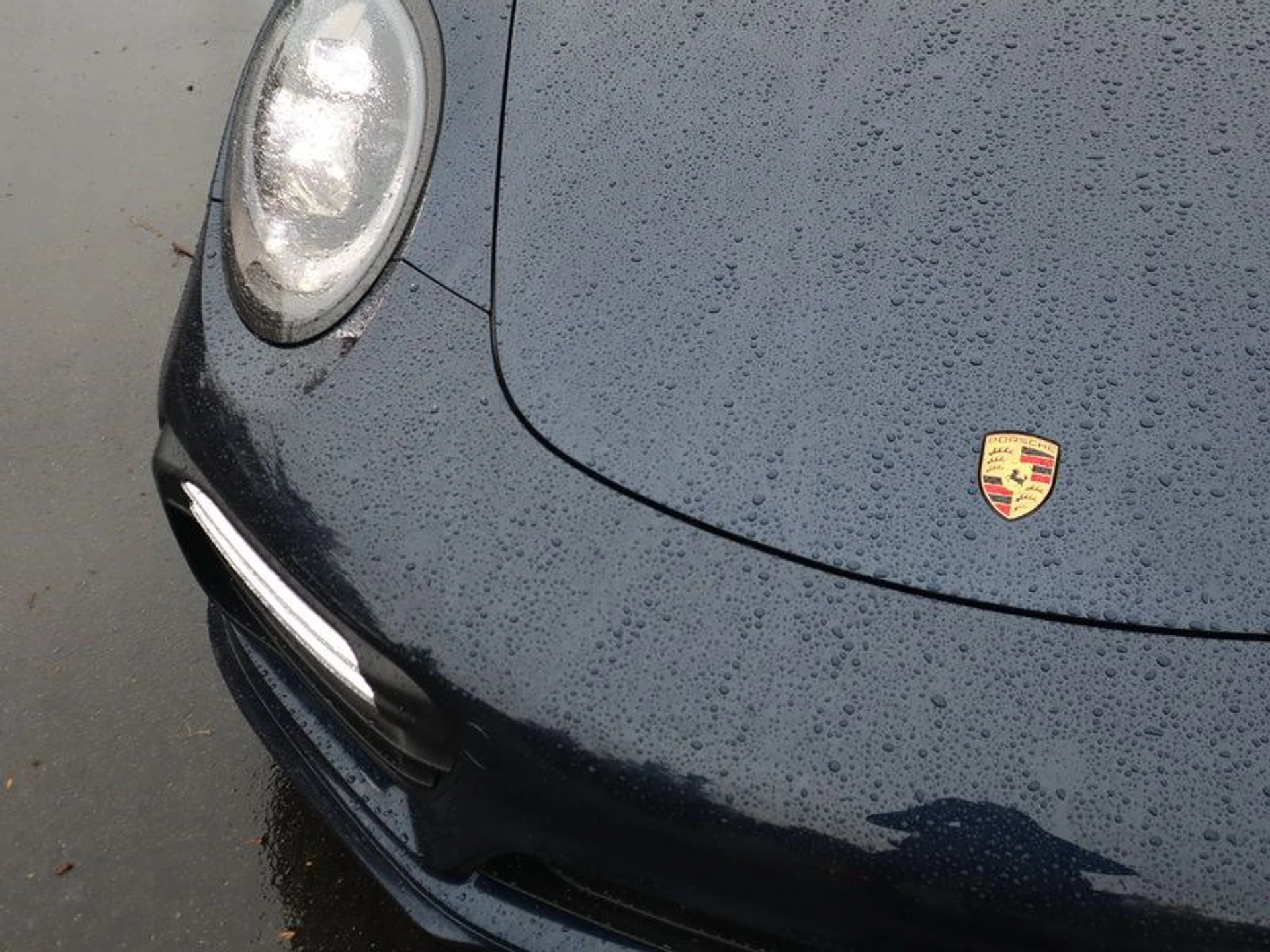 mph009_1420789765_37129809_07049_d5cc1ca105901ba55ea9009388e1da60_6181daa0fc