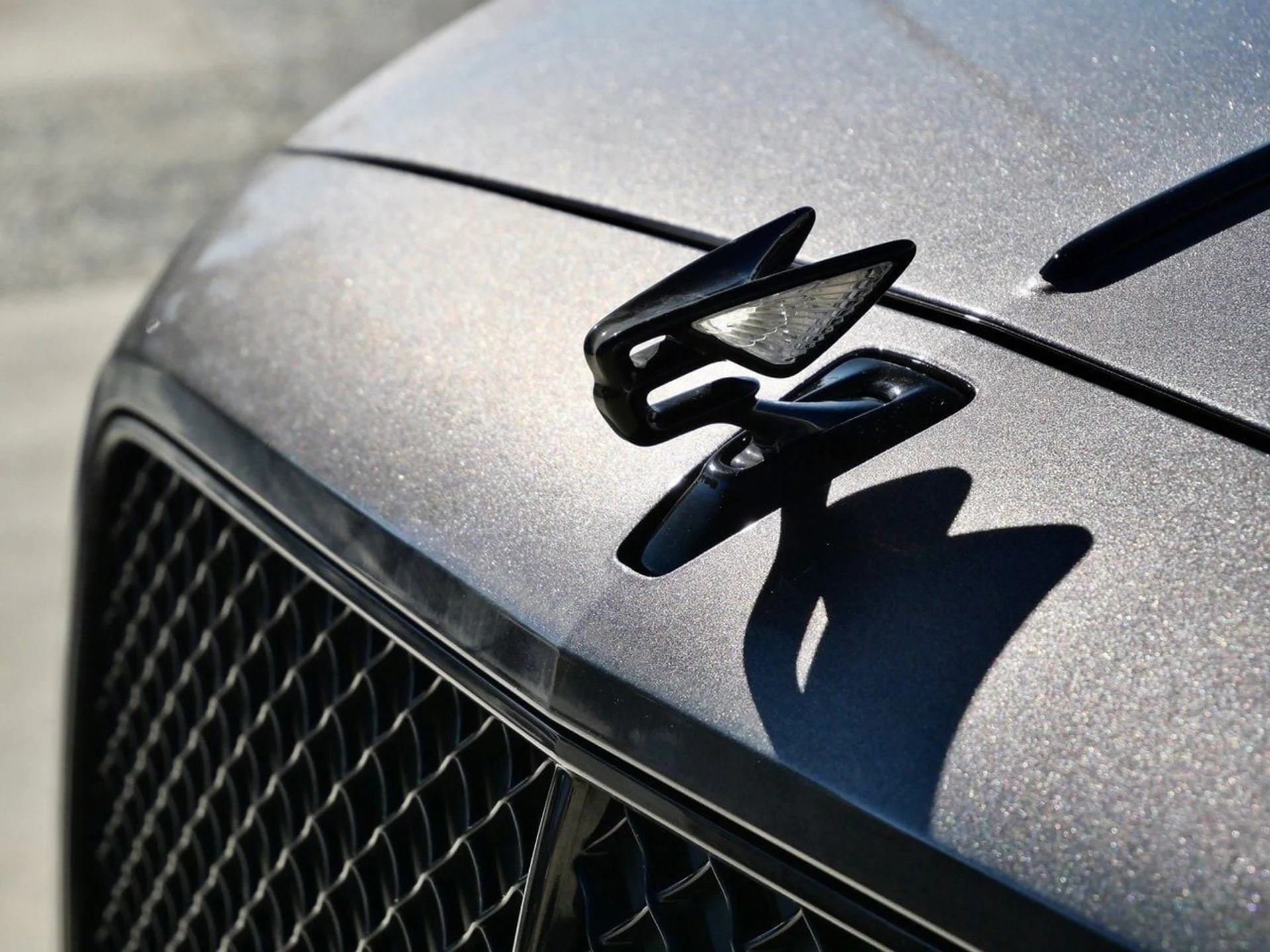 mph009_1597632235_cc863e0db907f1c78c540aceeb076be1x_4f34c0959e