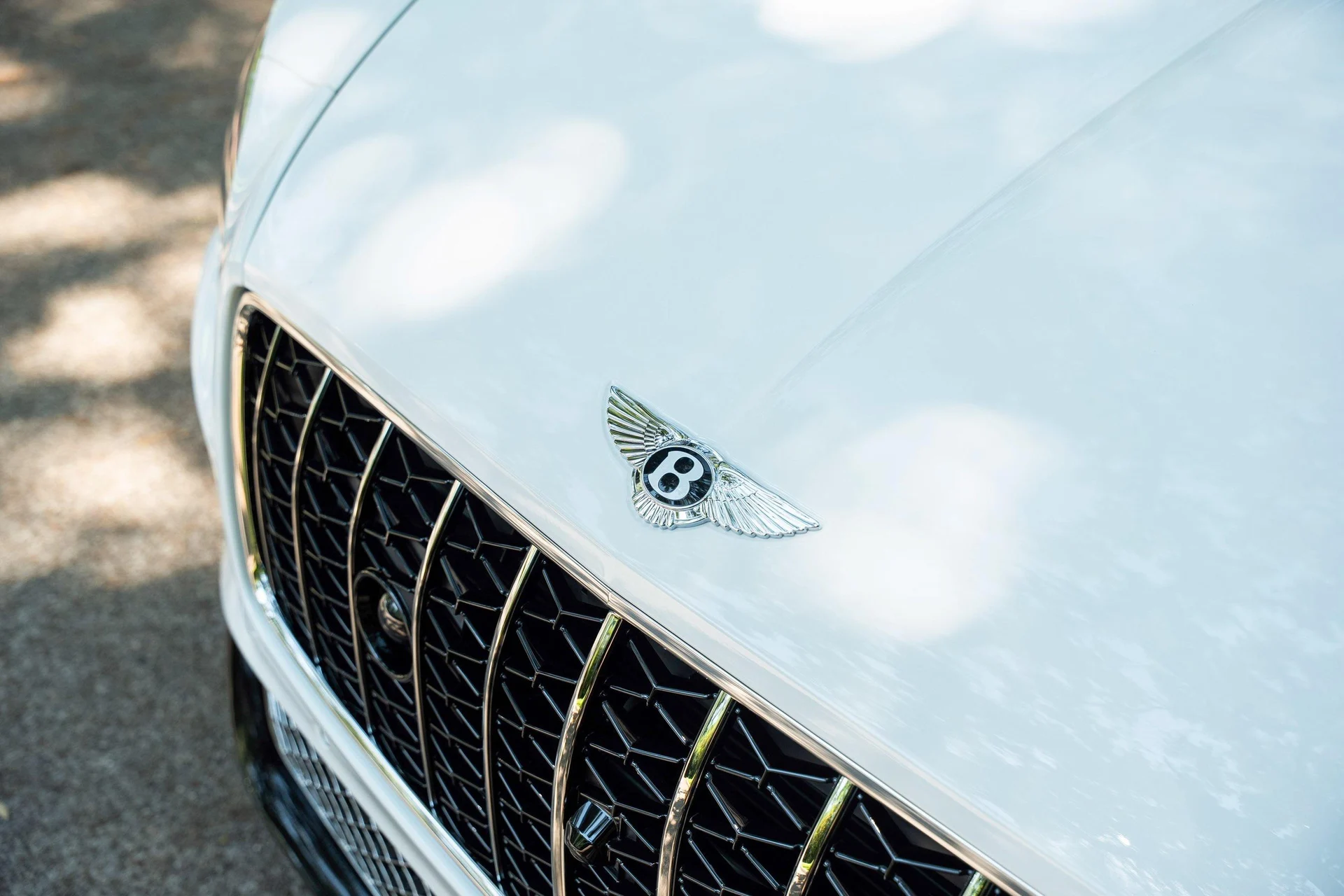 mph009_1766920170_451284869_695f544e9054447ae610809f_bdd3039317