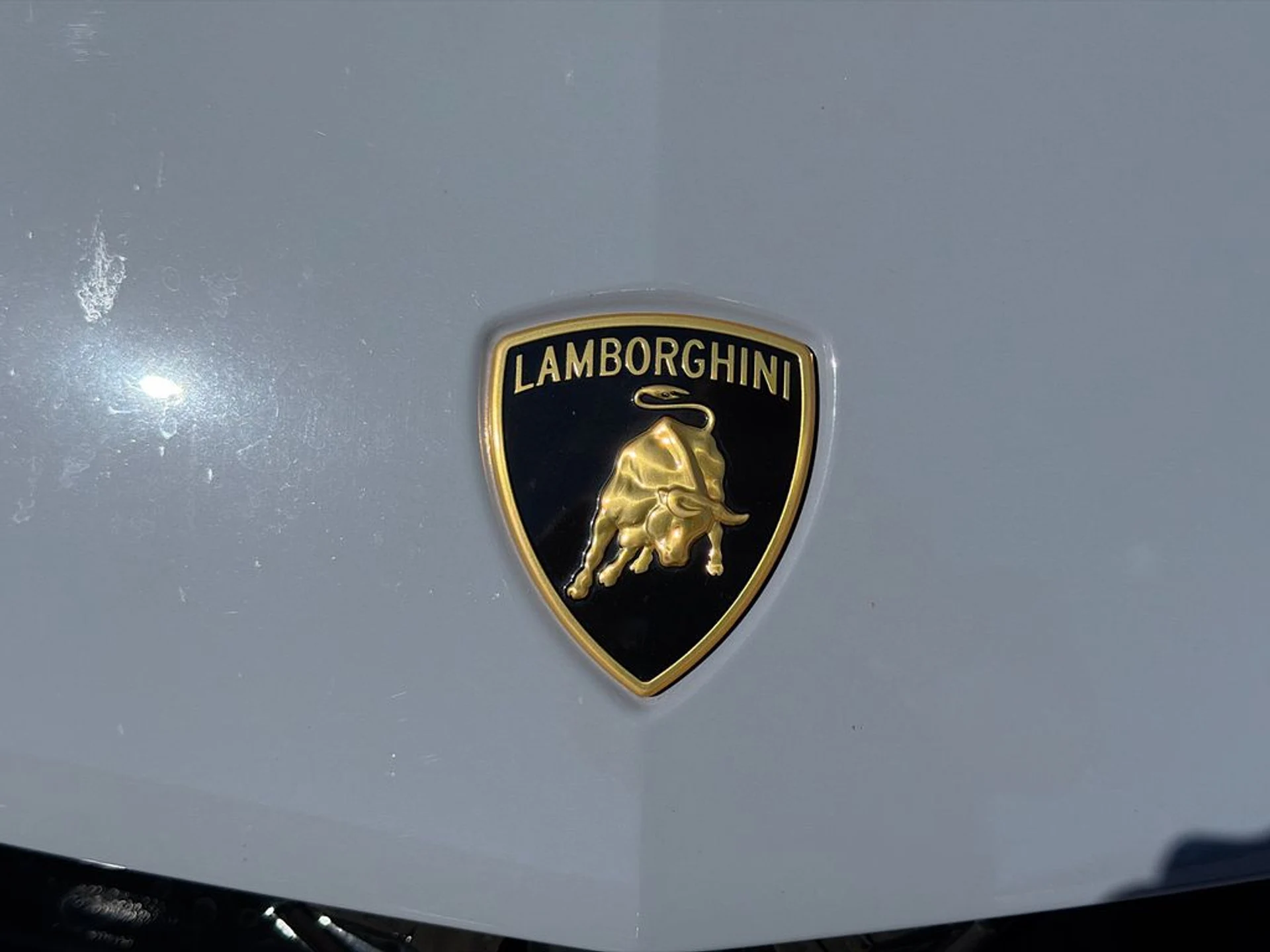 mph009_1829609599_18e7d4d06fb9593a5af86101709d14b8x_49dfe70cb5