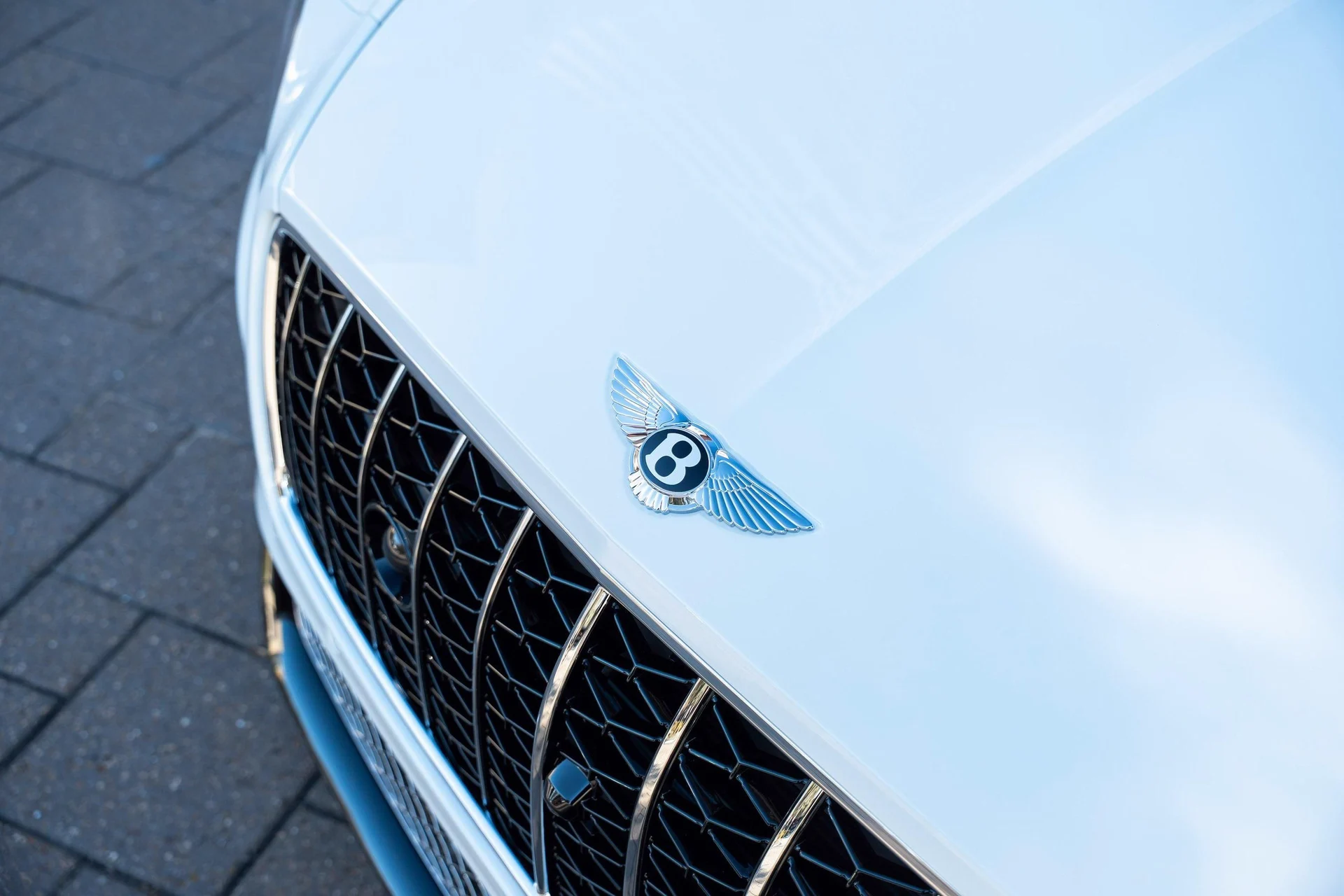 mph009_185164967_478163262_6984353ea729137fb48dee6b_0b6dc57561