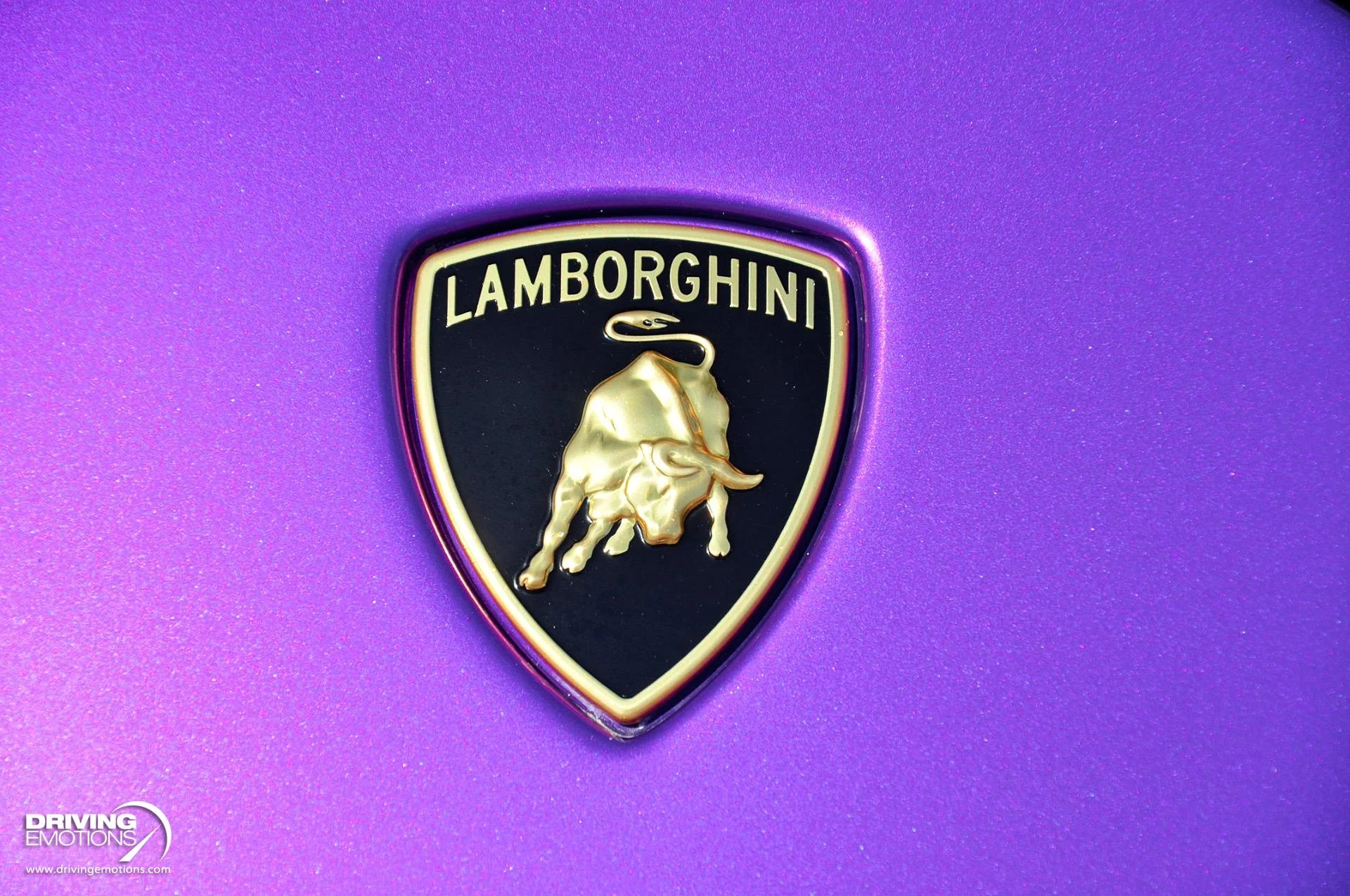 mph009_1947023181_863_p10_l_2ced6c05ee