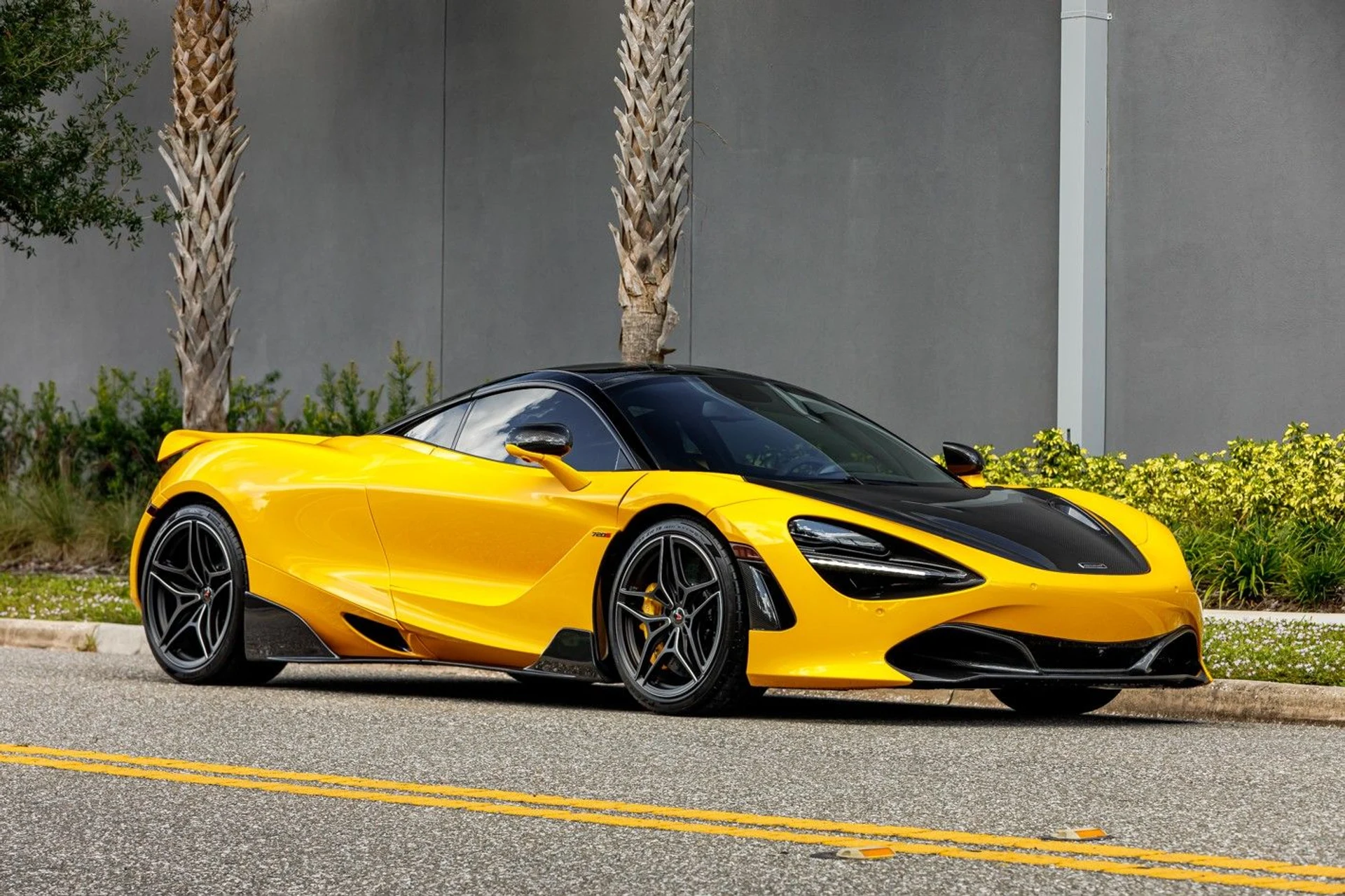 mph009_197087147_171_p10_l_40296299c9