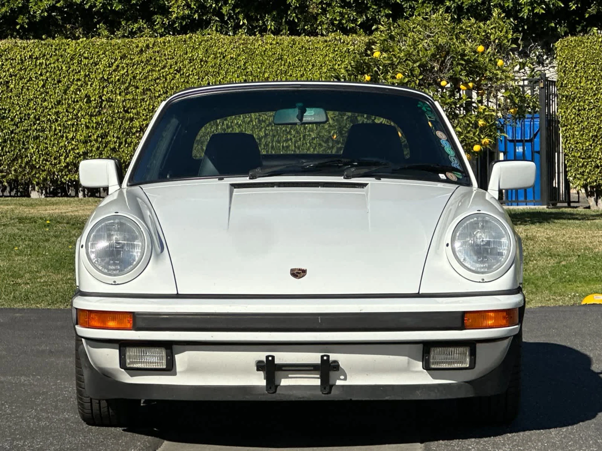 mph009_1979385509_10_020b779de4