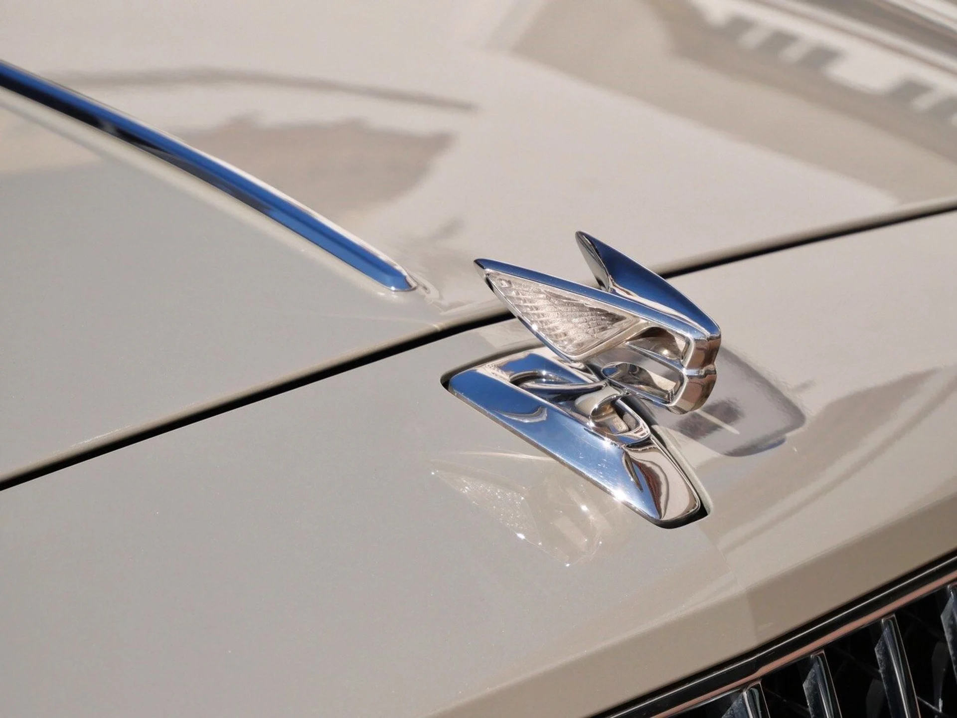 mph009_202304116_7fc584f40584fca984165aa745d1eaa2x_48d16a4dc9