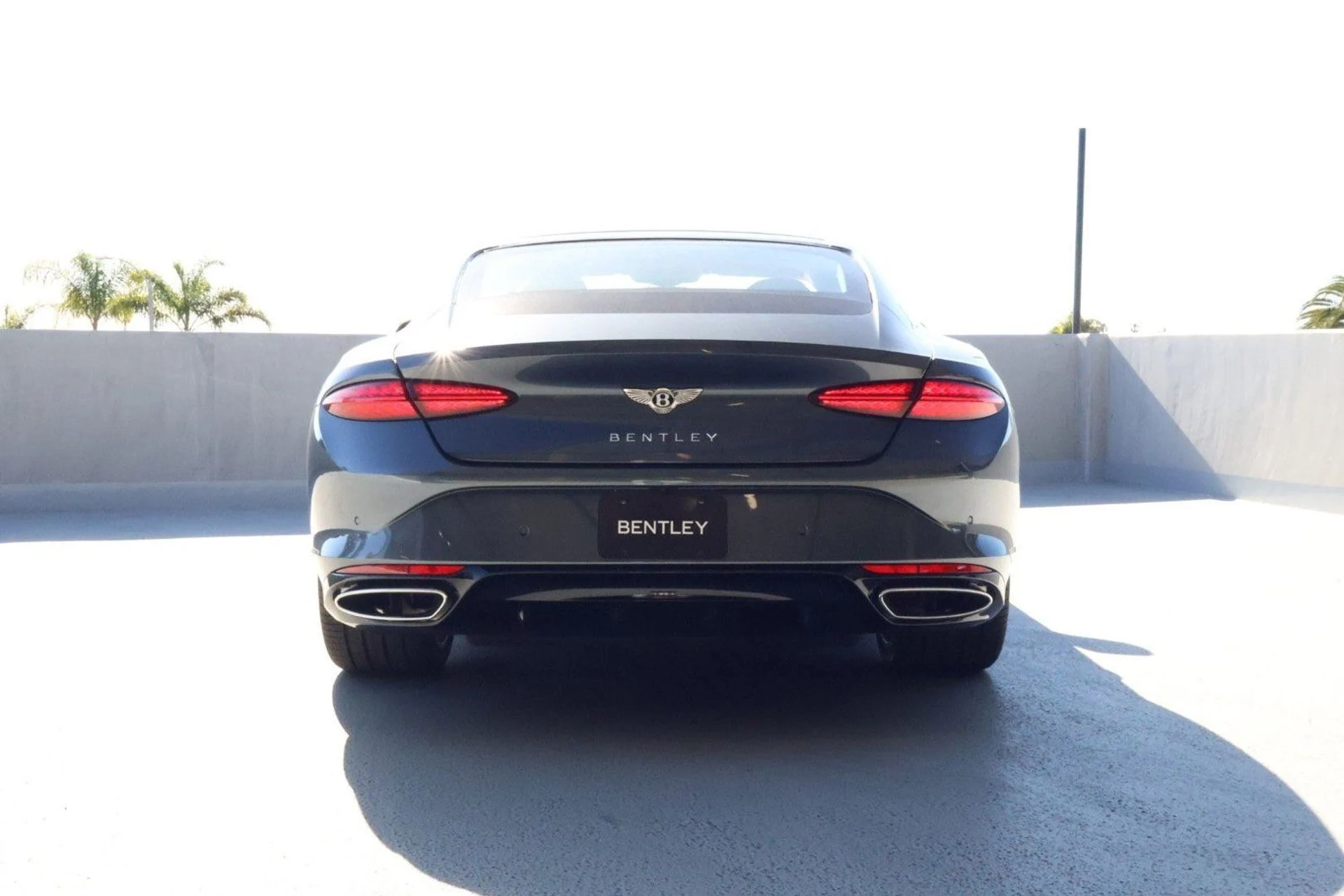 mph009_2139638265_69b5e801765bd73b5a700ae624b1ed23x_4623ae9a1c