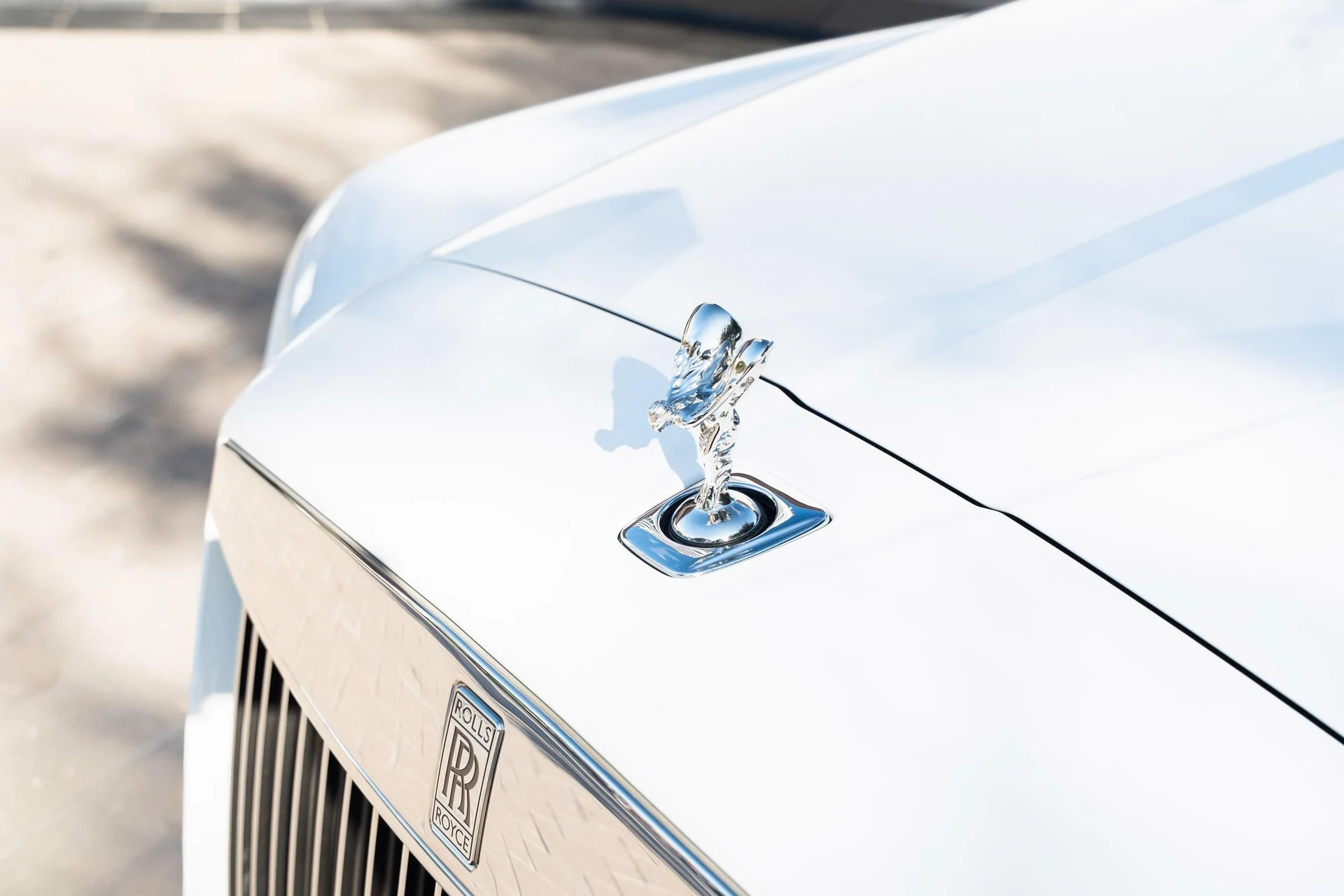 mph009_2204321990_476162068_695cc5ea8f3ee920bf5188be_5e004e5910