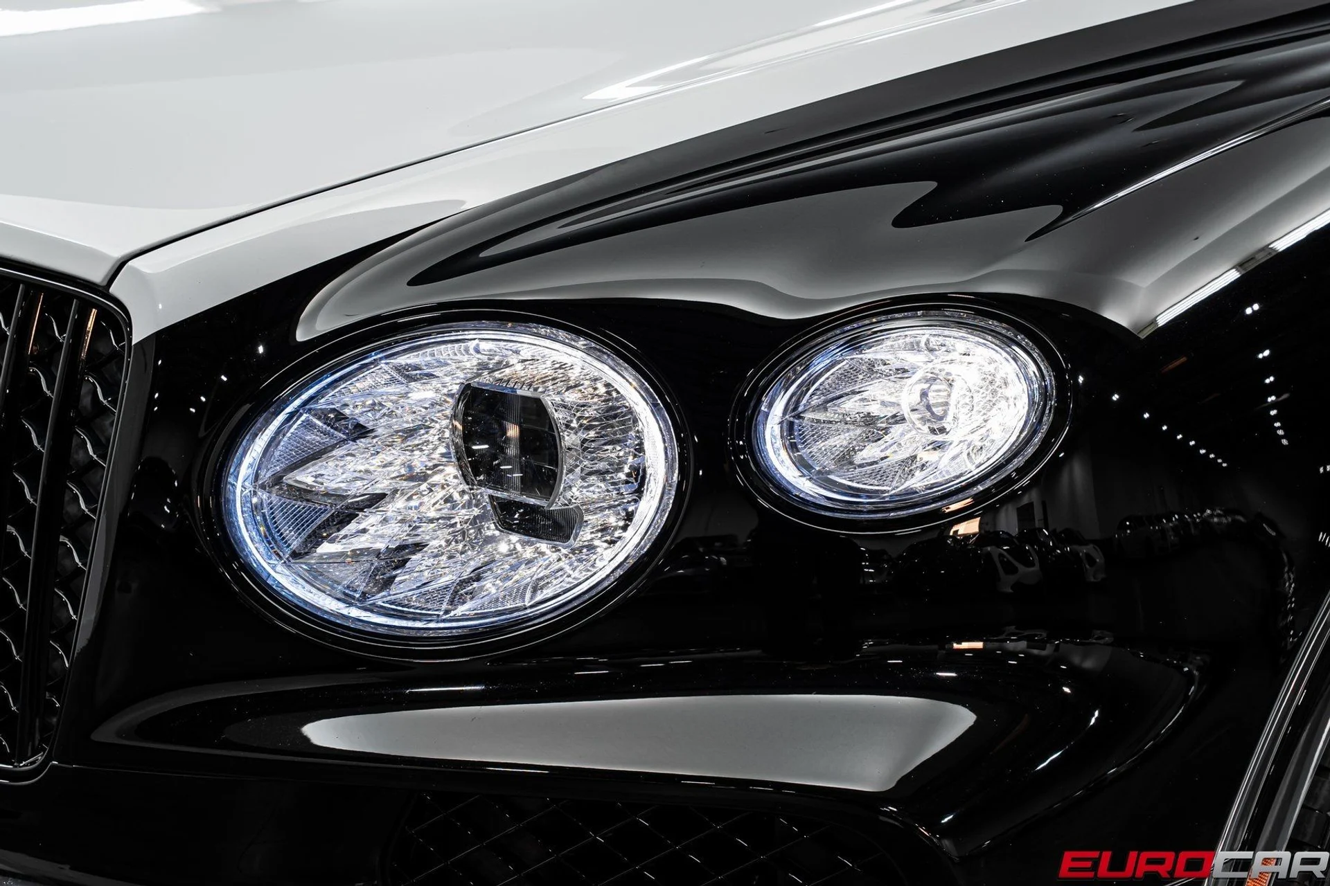 mph009_2274949440_image_10_a48786cec1