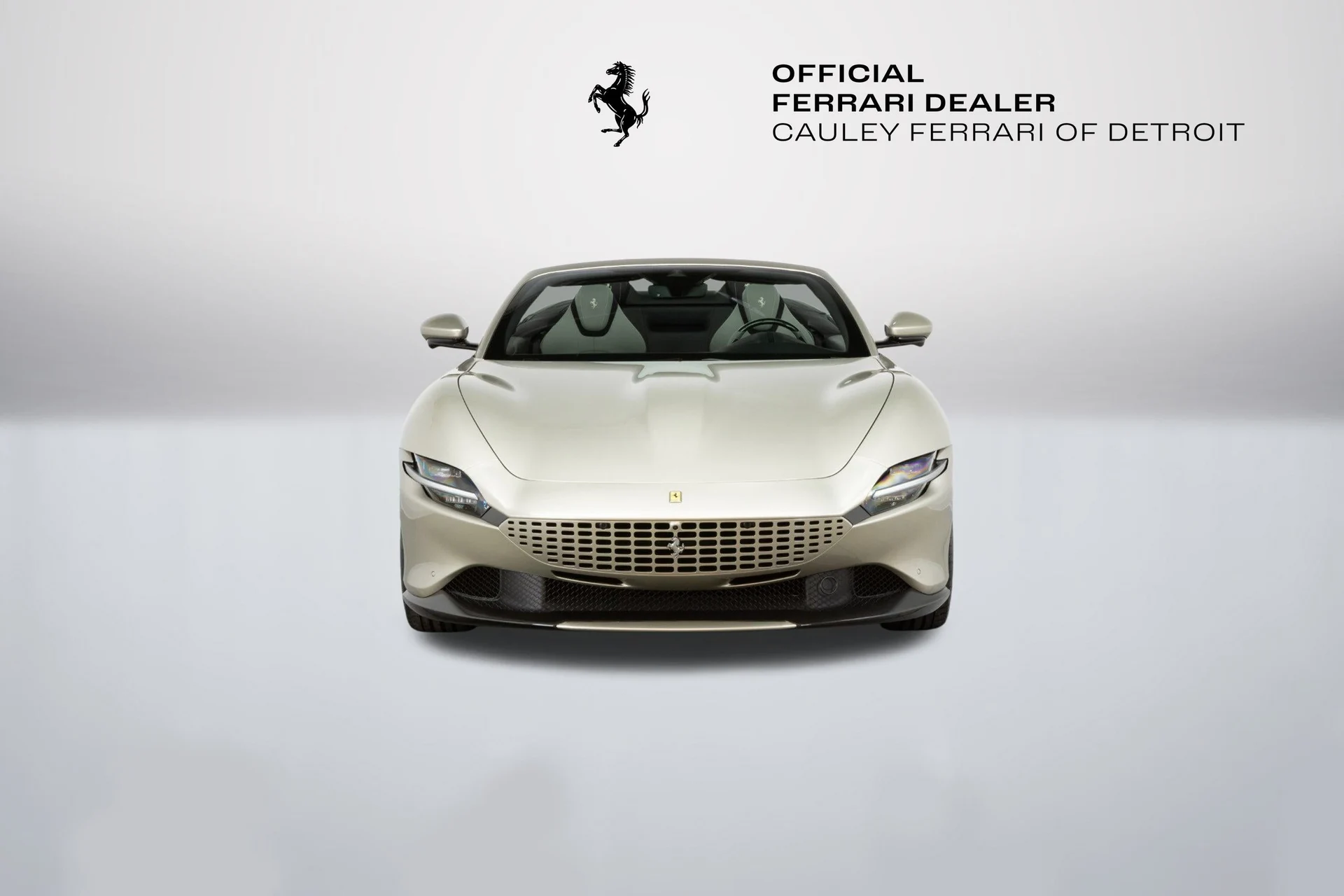 mph009_231142485_9a4d50851bd444f7b55808858e88463a_131ee88374