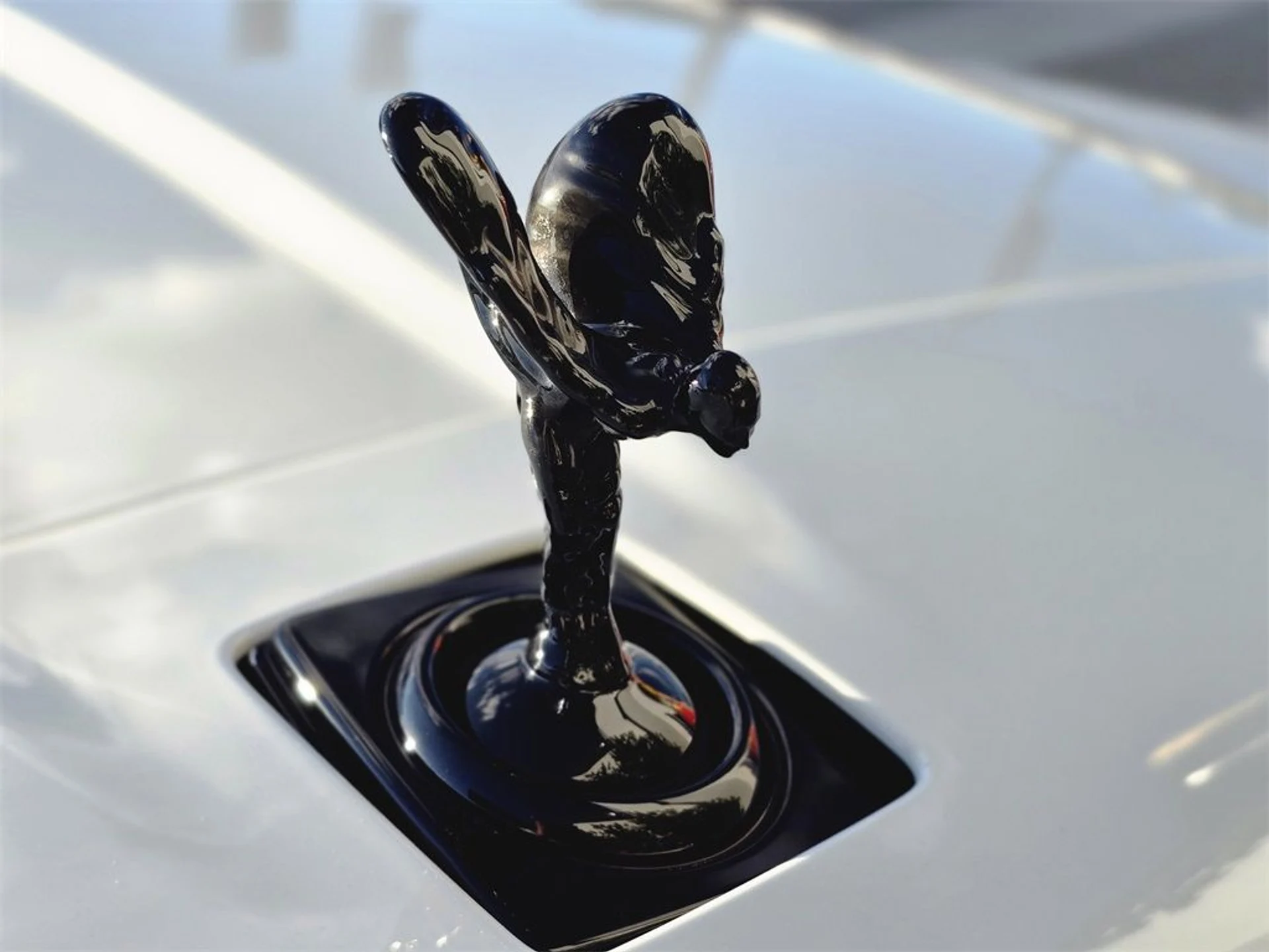 mph009_2315610784_14b8fe343a1fc5a61dbc22faf01fabf5_3b65be10af