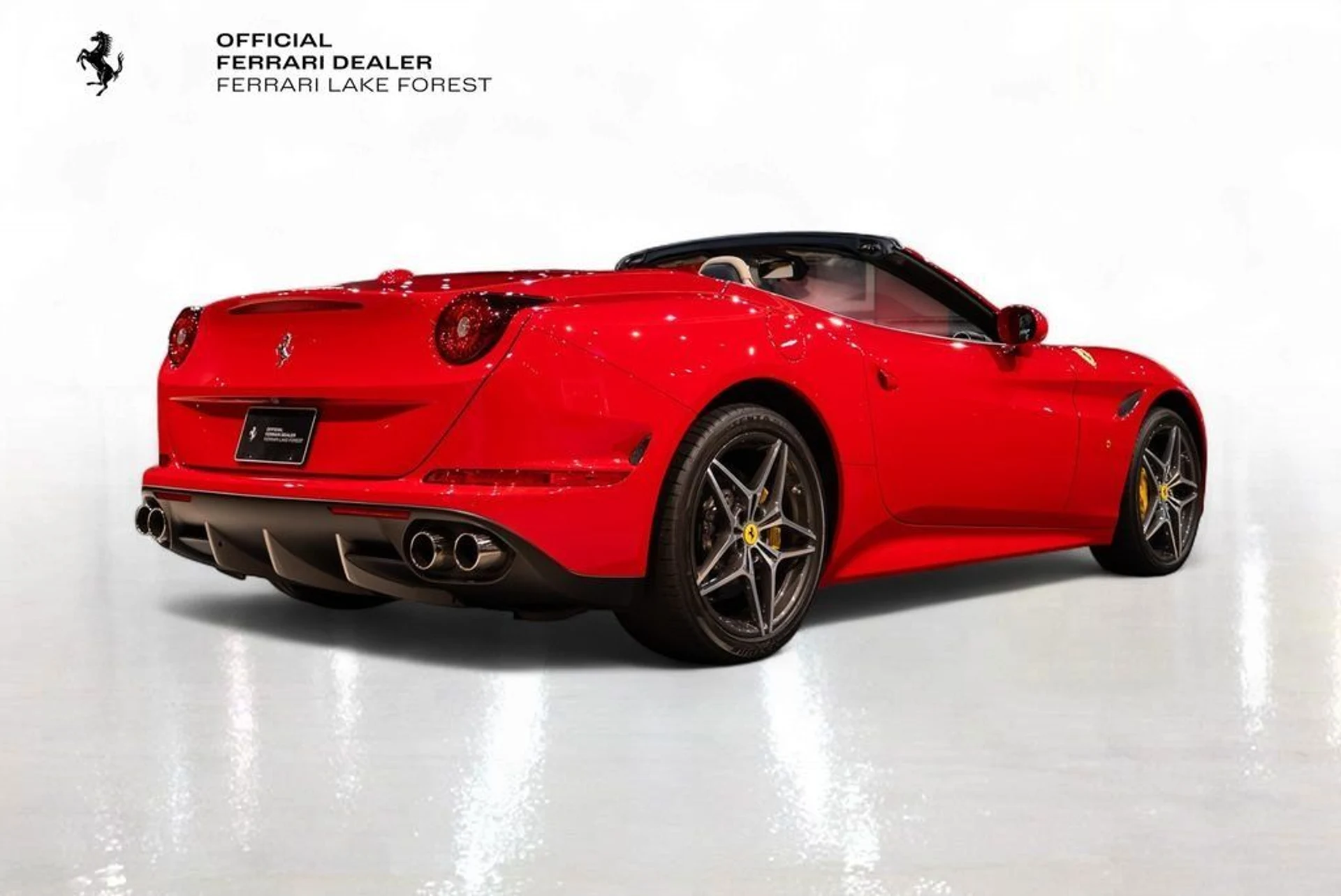 mph009_2320042192_447591a838bc62f604c69042157434ec_e9e36bf5de