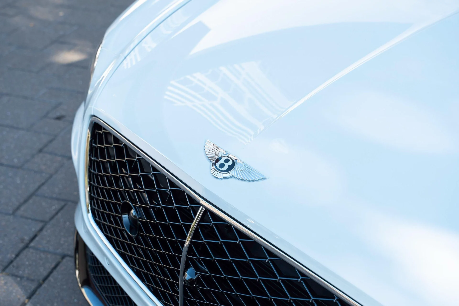 mph009_2393110944_458241673_68ef21be026595e726699949_589df10864