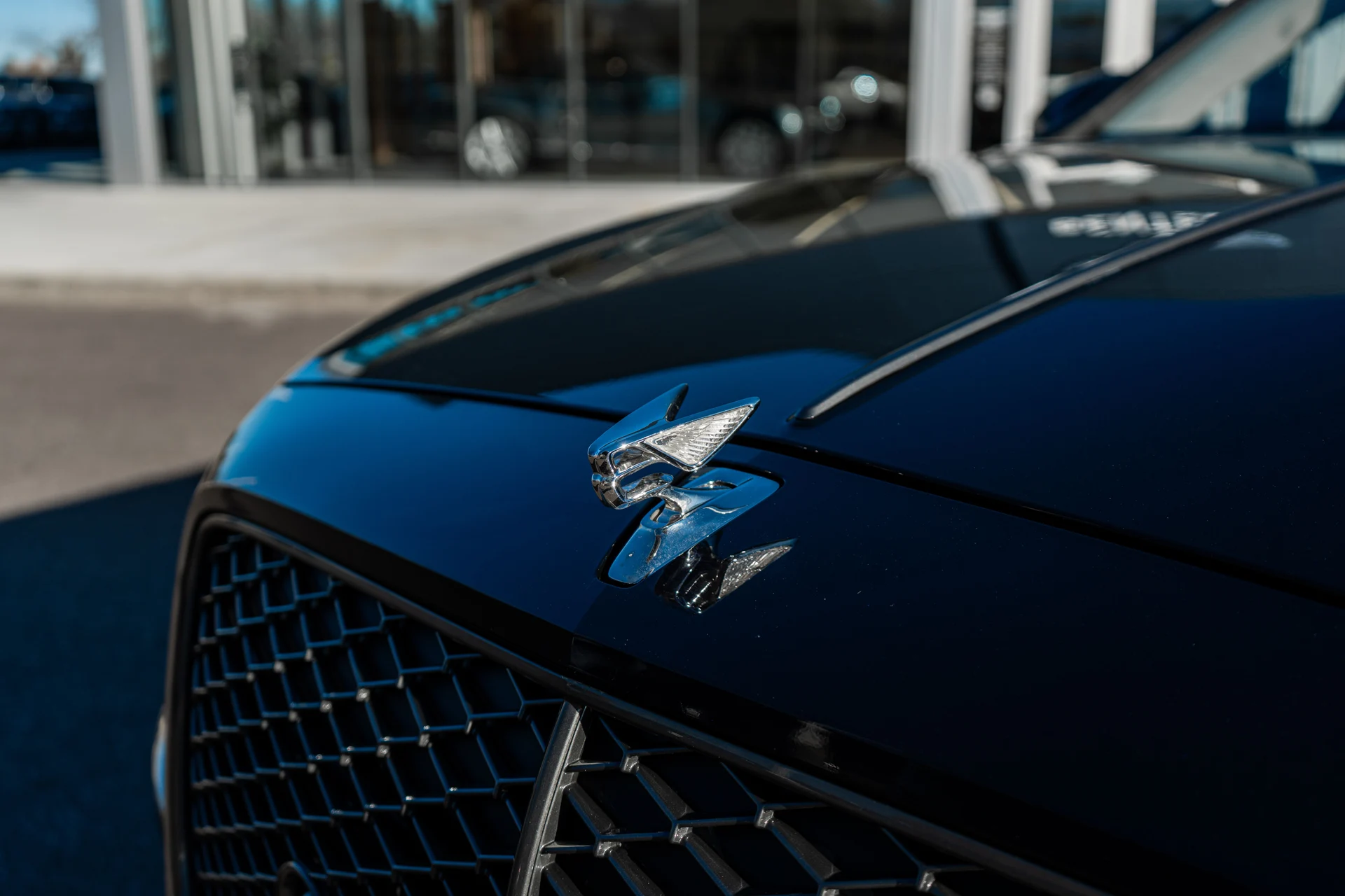 mph009_2395016942_dsc00326_jpeg_4786d15d47