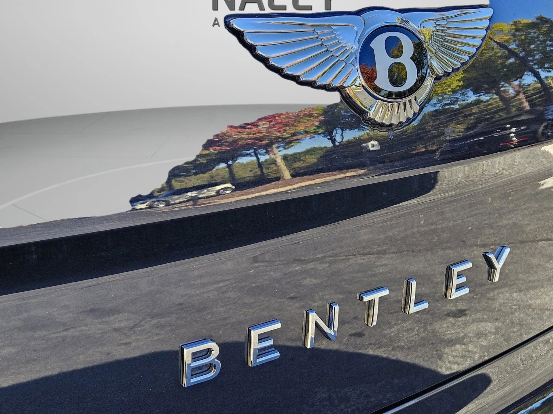 mph009_241459212_0439ff3efbf8dabc19456f5b7d7aeeb4x_3f61d2a2d6