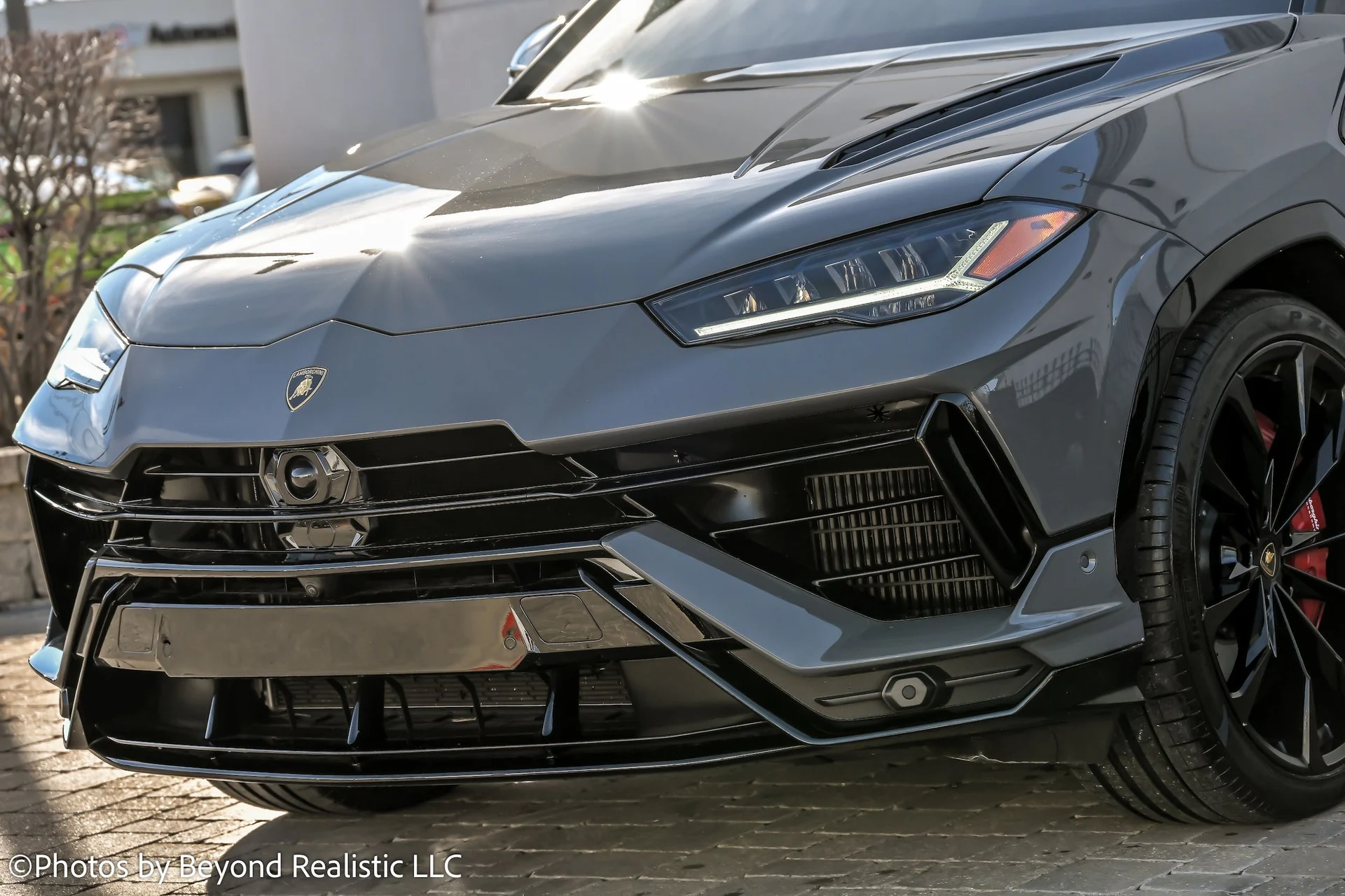 mph009_2546232207_ad272e4bd882c5cedb79c1de3153b631x_52e23560e5