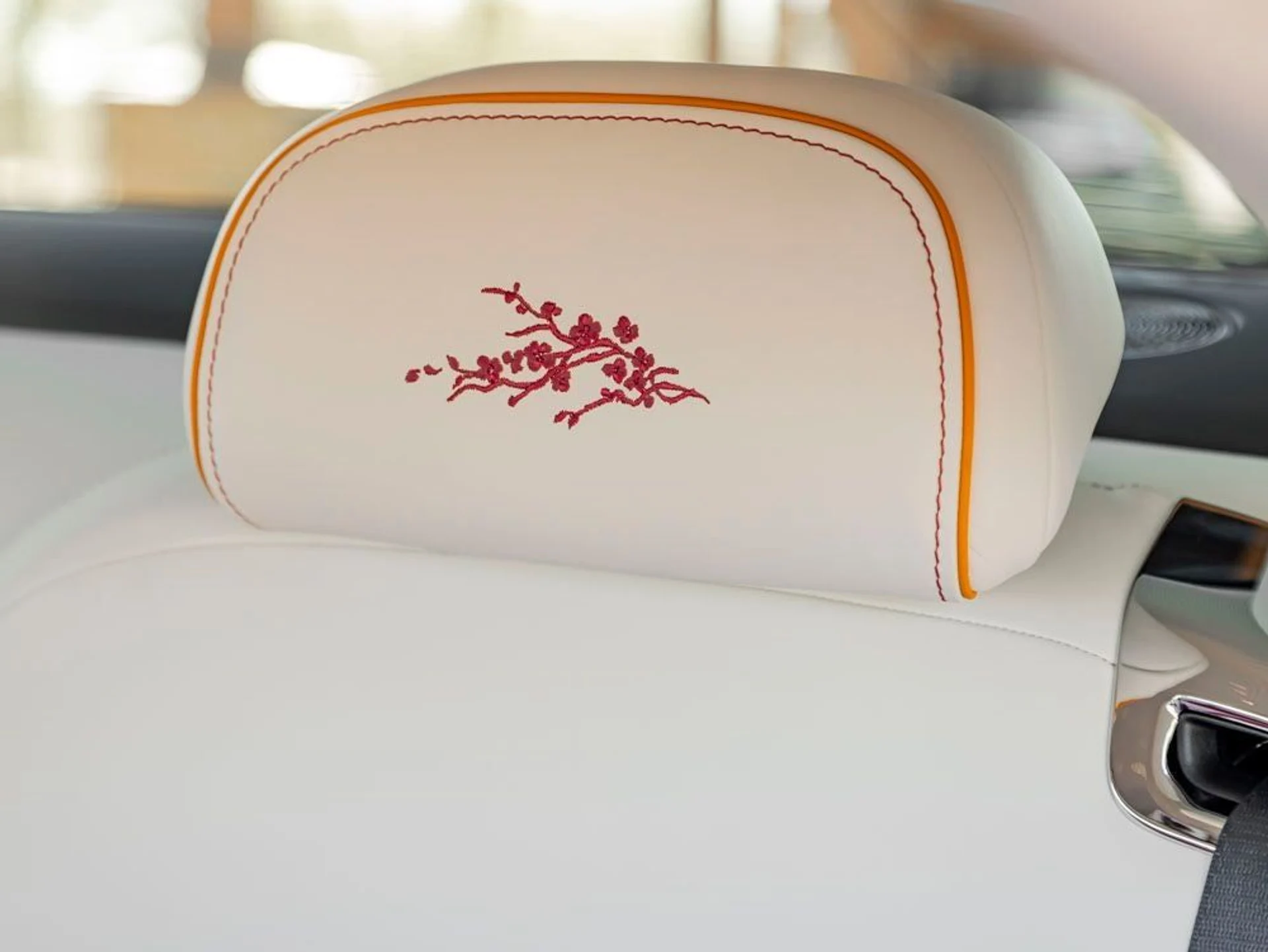 mph009_2564473020_10_4f7ed95fef