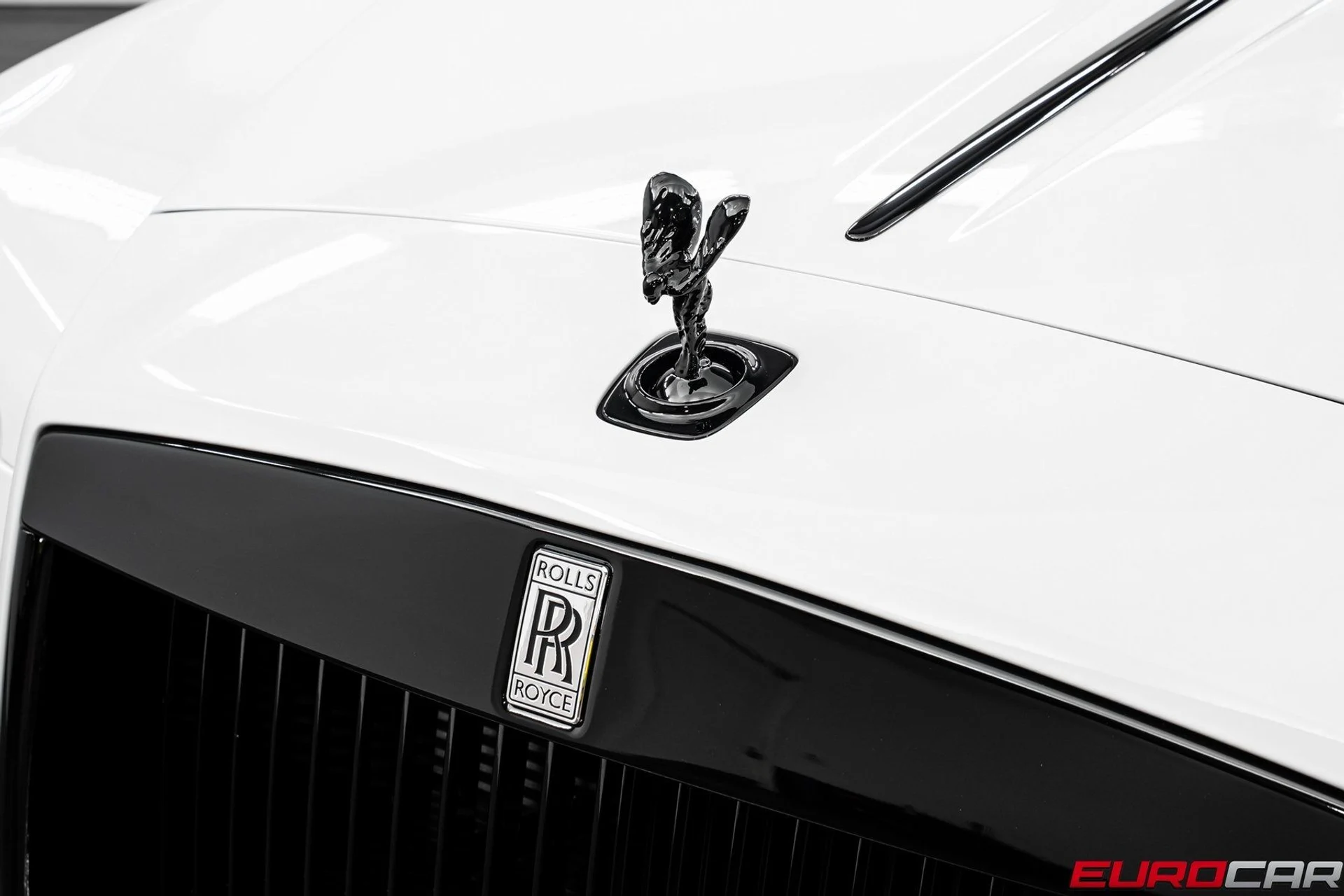 mph009_2582629075_image_10_6b9bdb2b4b