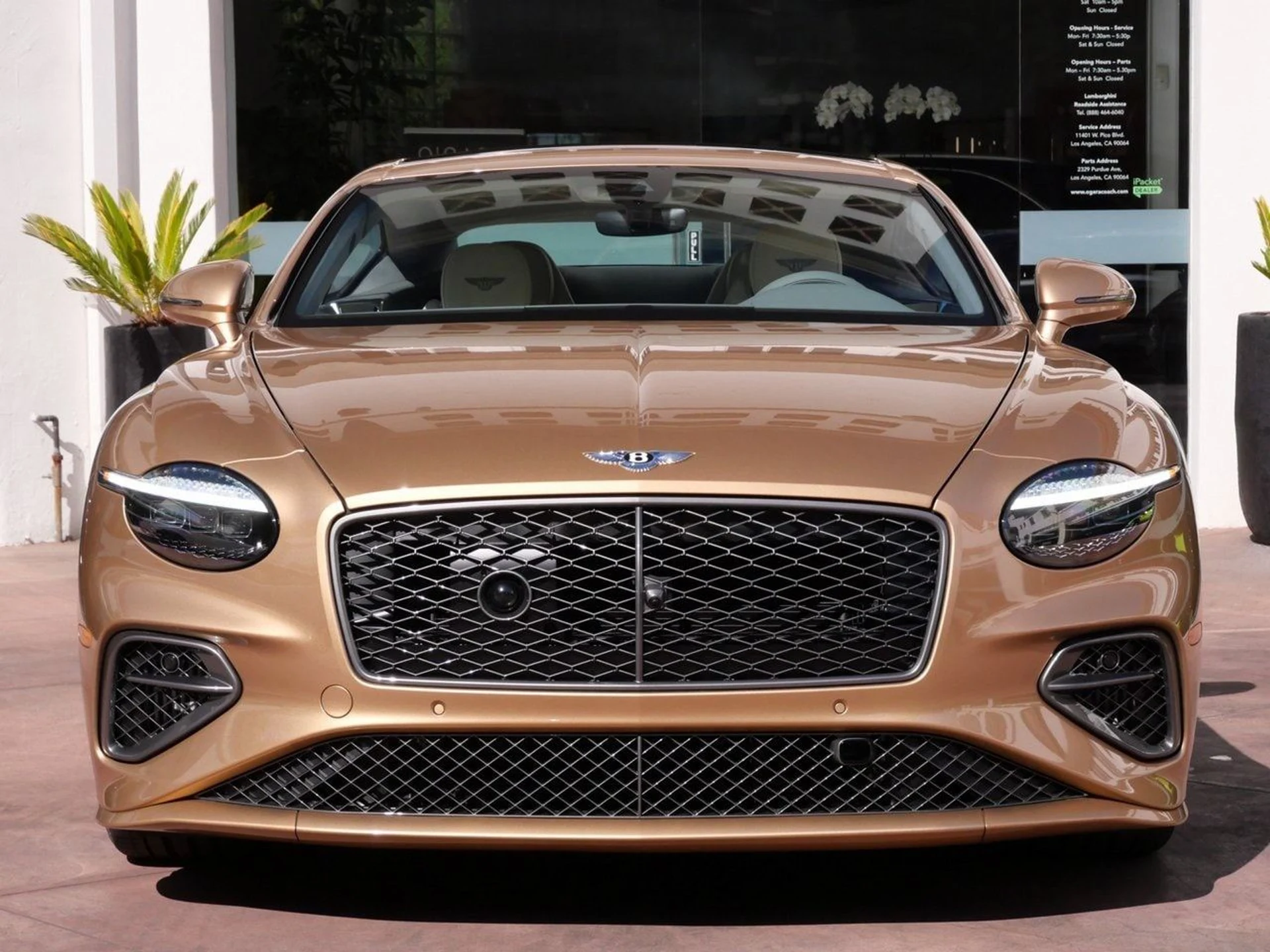 mph009_260241070_f7b44c1d07eeab86834797763f0ba492x_7197e0f0ce