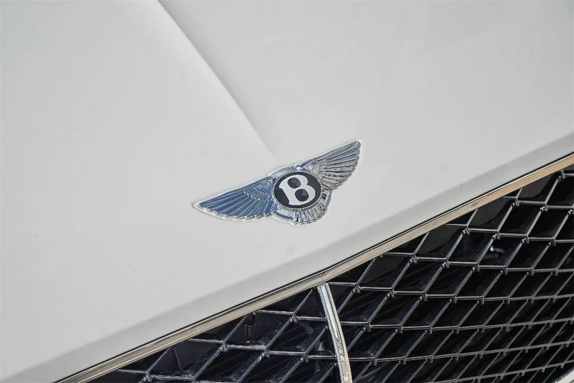 mph009_2618235178_395d63143373439f879196012ed9143b_fd1ae1b697