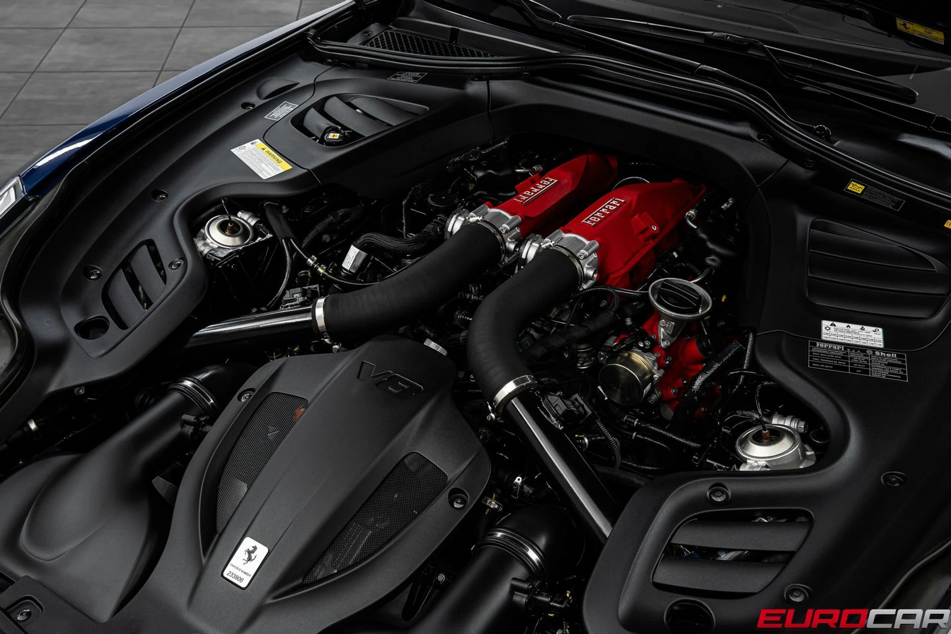 mph009_2623091550_f6315263_f990_4978_9f2a_e85448235334_97d1f71ccb