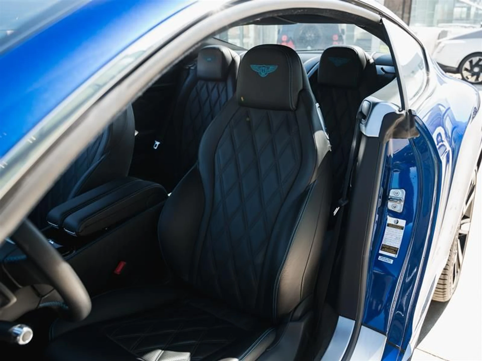 mph009_2655392600_catgwolp_d37833b8d3